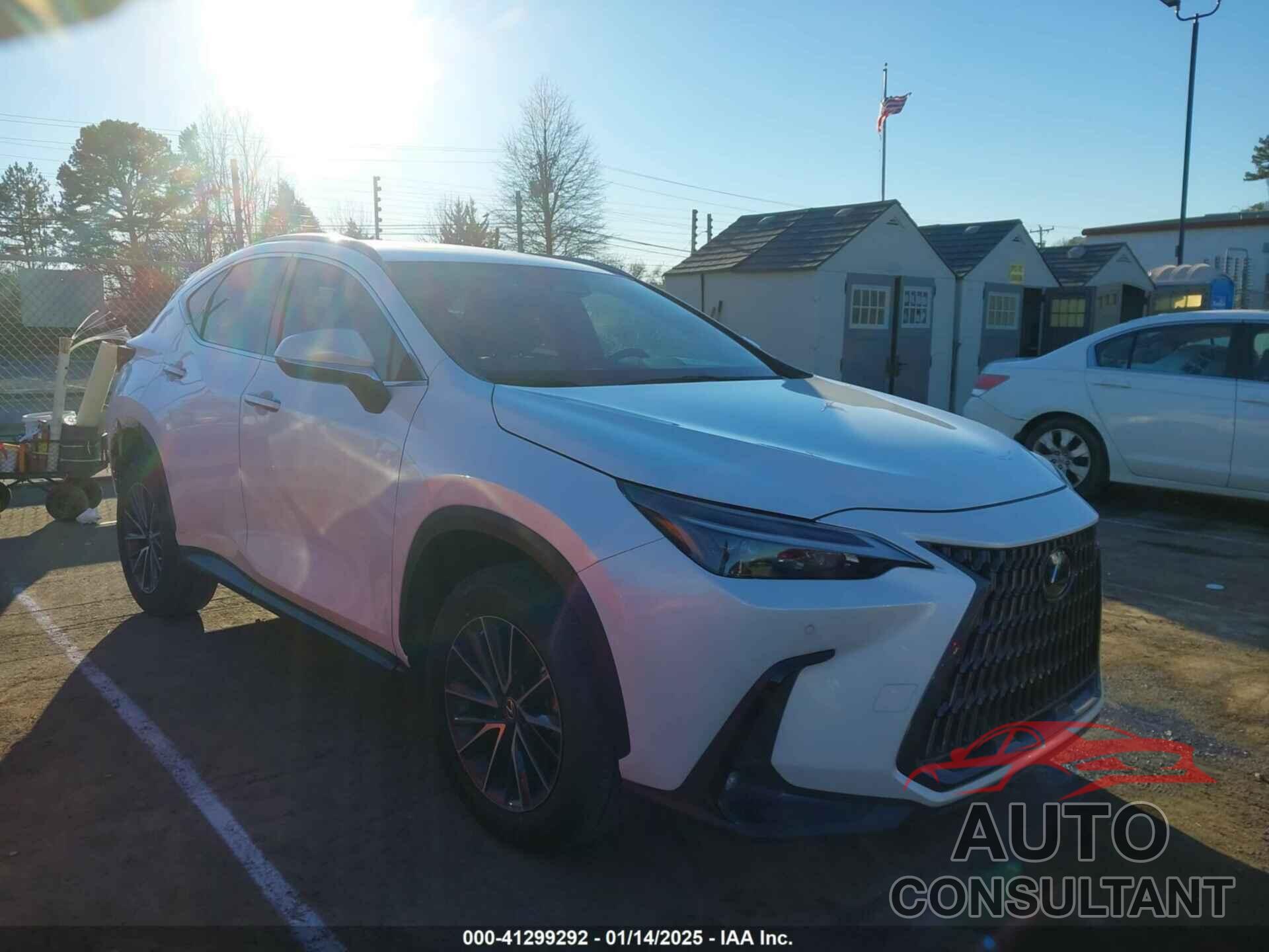 LEXUS NX 250 2022 - 2T2GDCAZ1NC001376