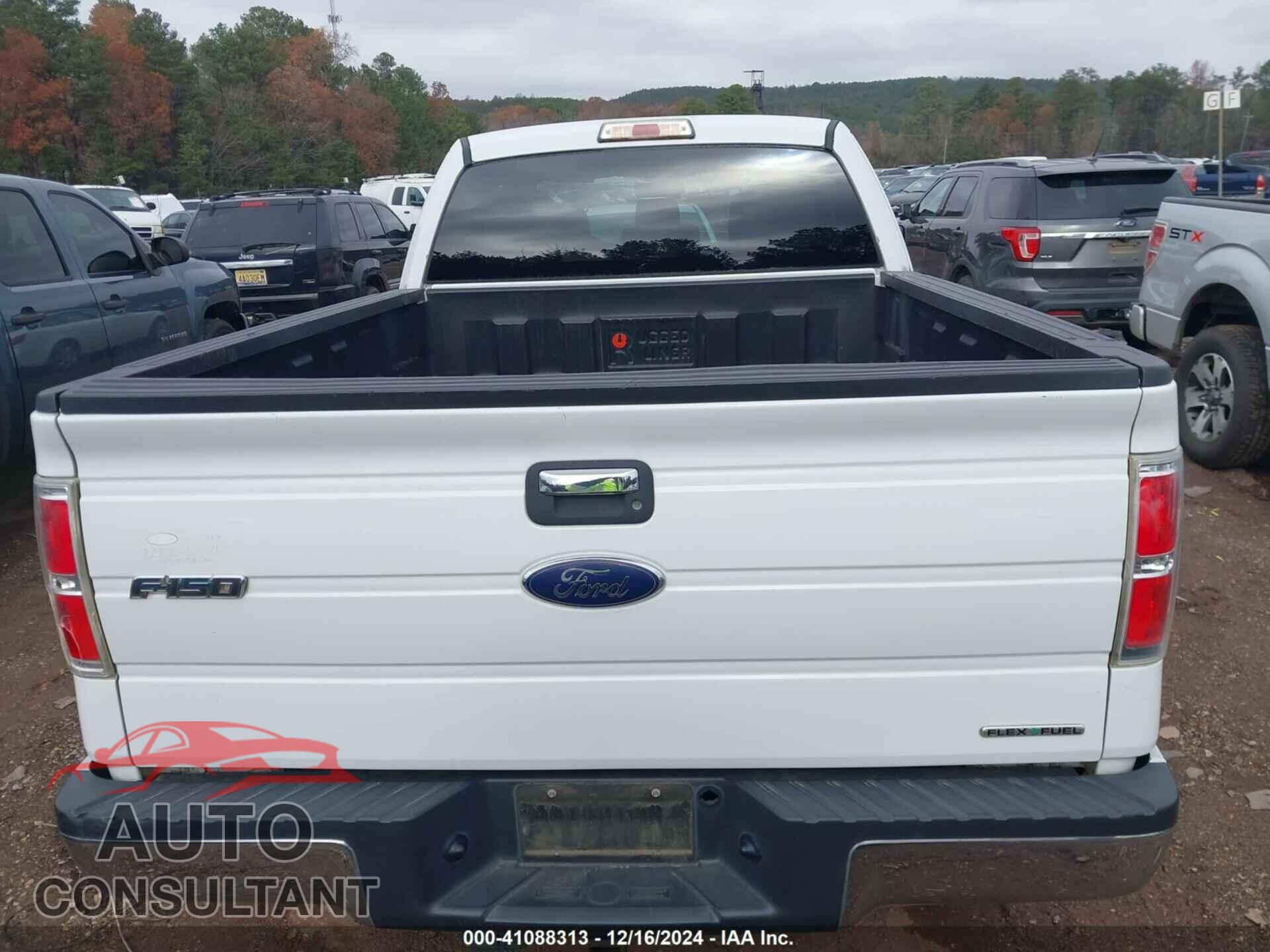 FORD F-150 2013 - 1FTFX1CF9DFA77240
