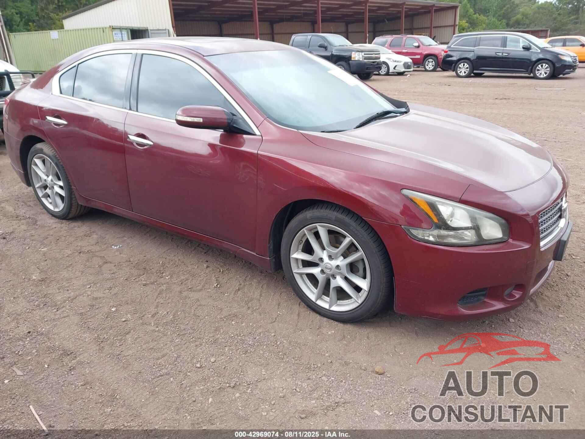 NISSAN MAXIMA 2010 - 1N4AA5AP0AC862277