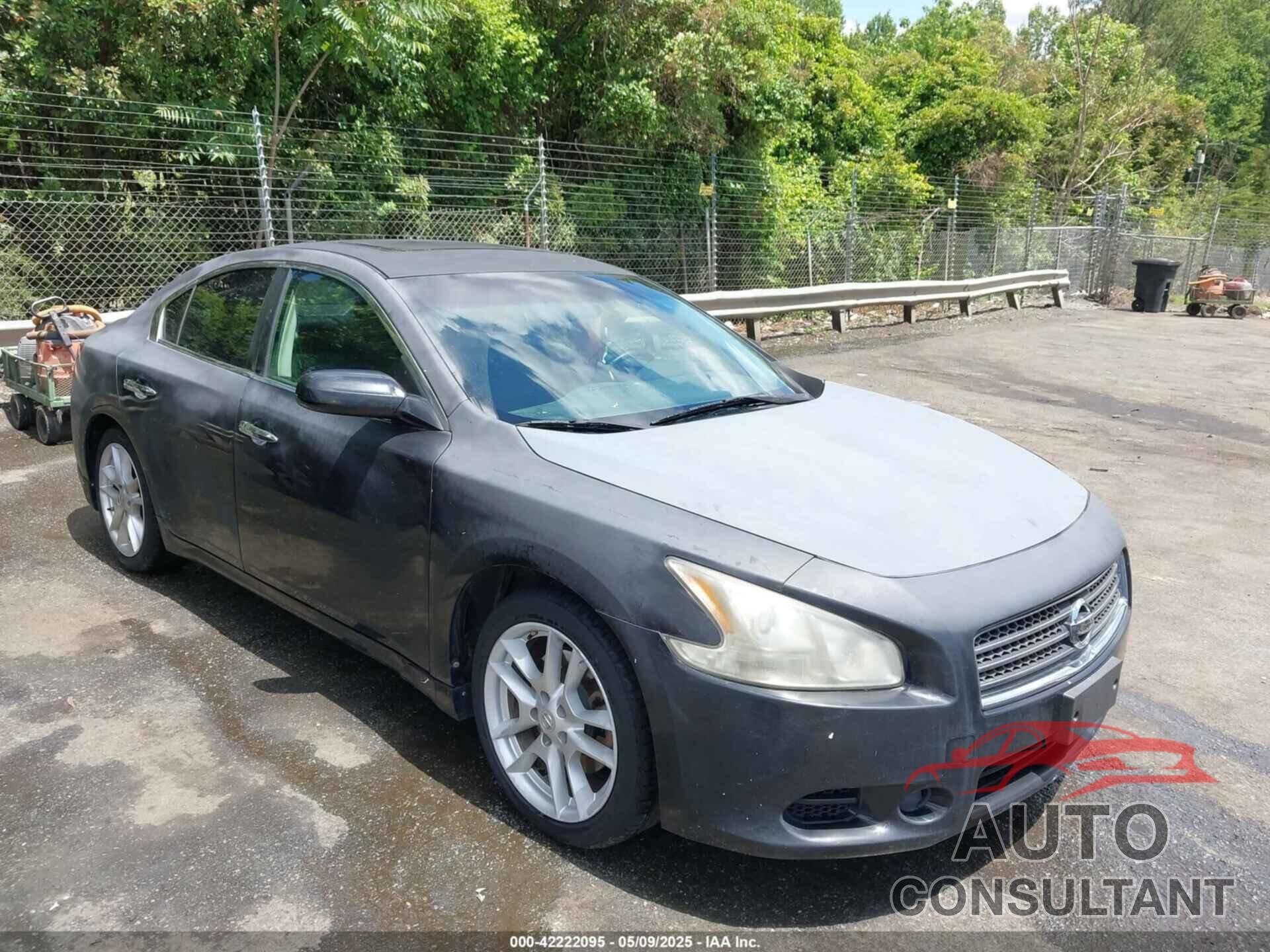 NISSAN MAXIMA 2010 - 1N4AA5AP3AC804938