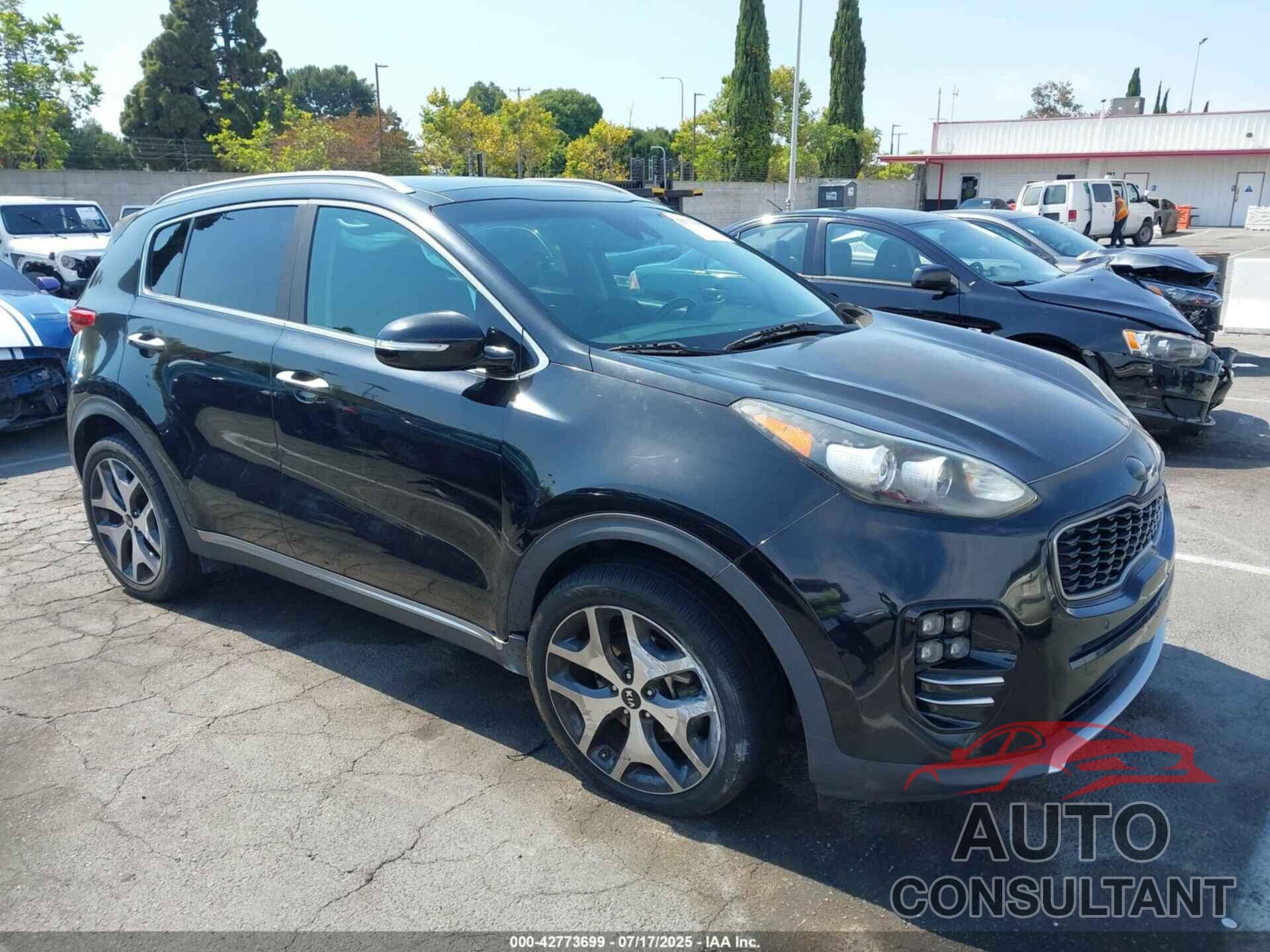 KIA SPORTAGE 2017 - KNDPR3A63H7081698