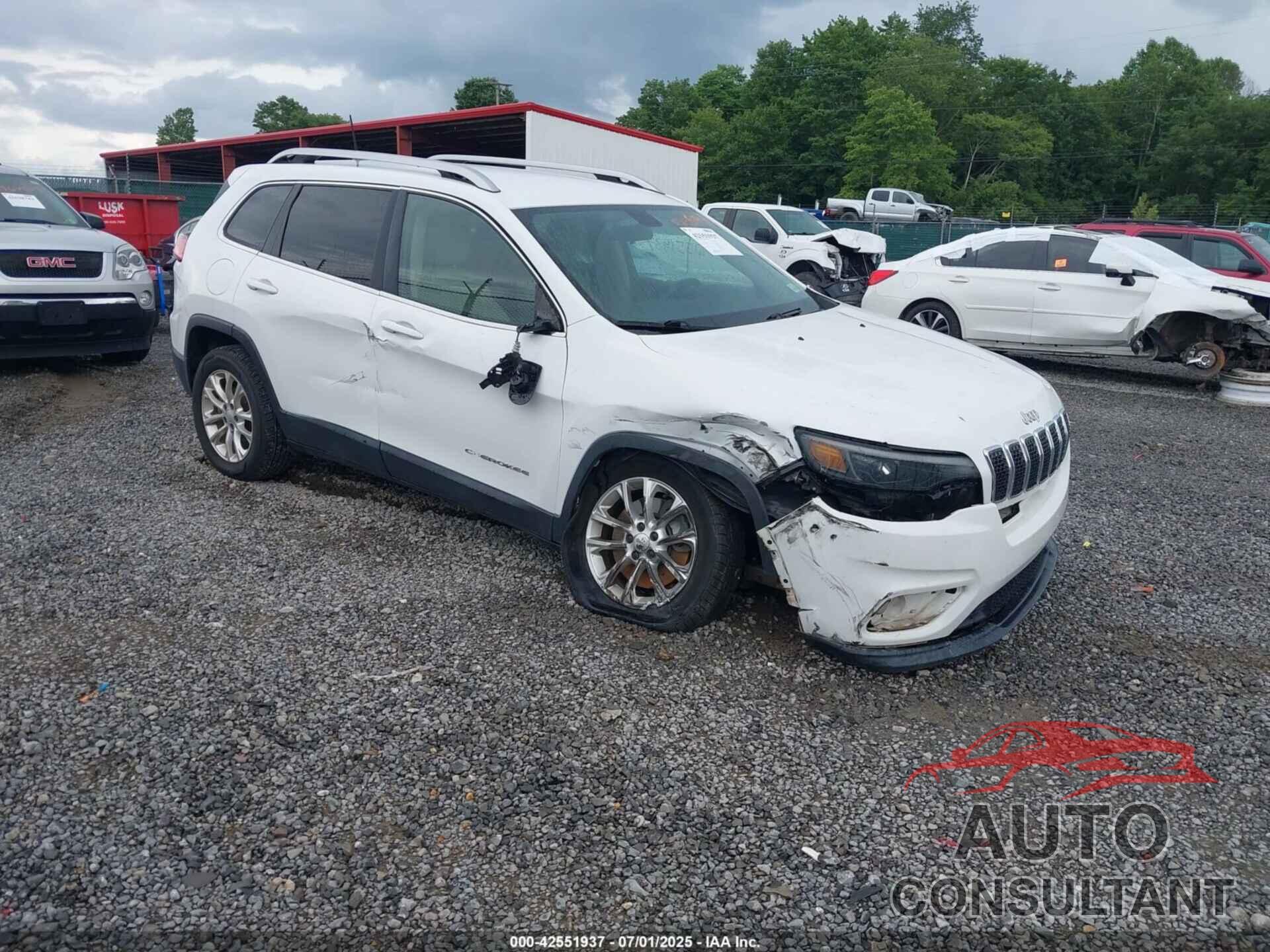 JEEP CHEROKEE 2019 - 1C4PJLCB8KD204776