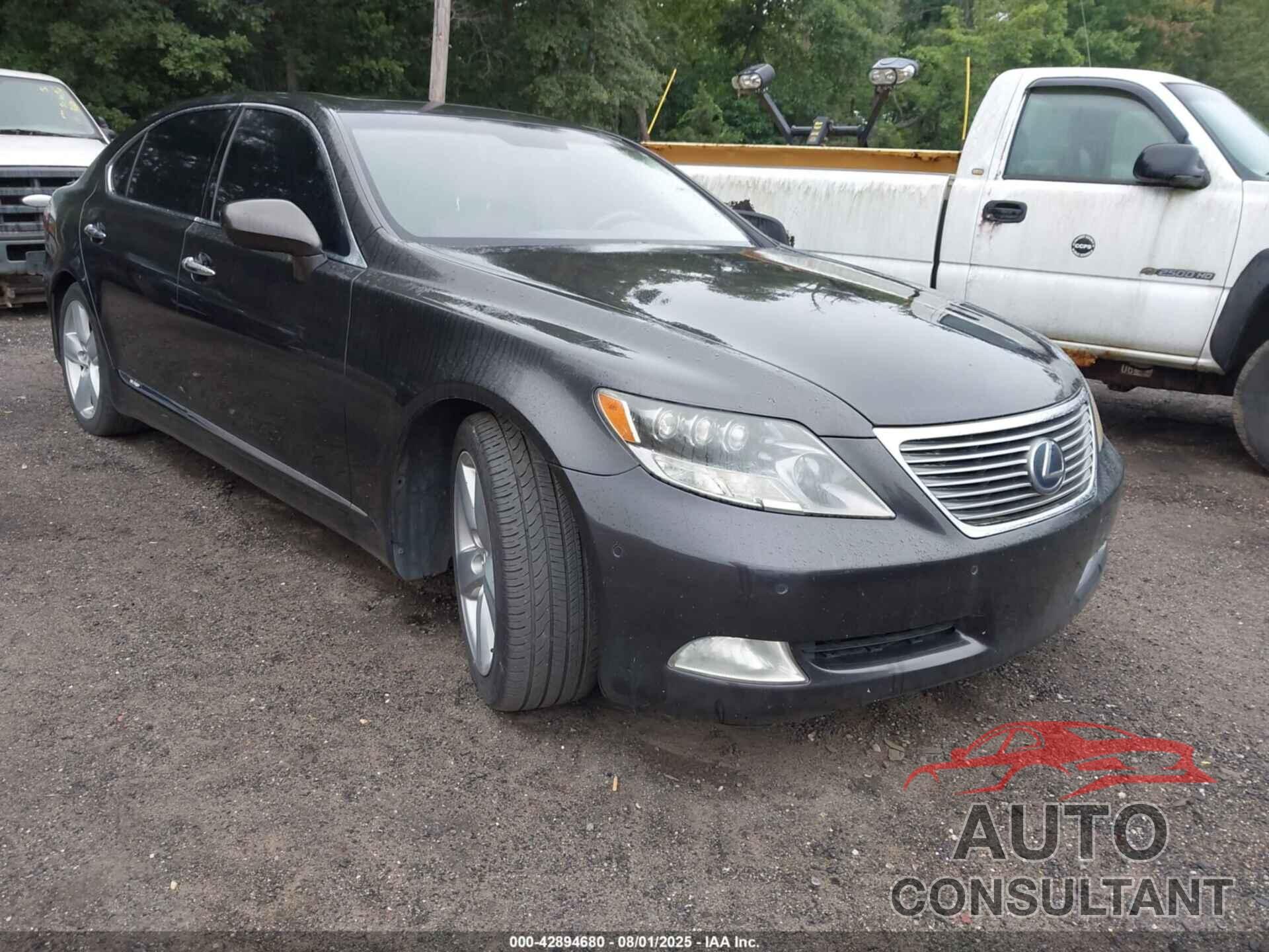 LEXUS LS 600H 2009 - JTHDU46F195009863