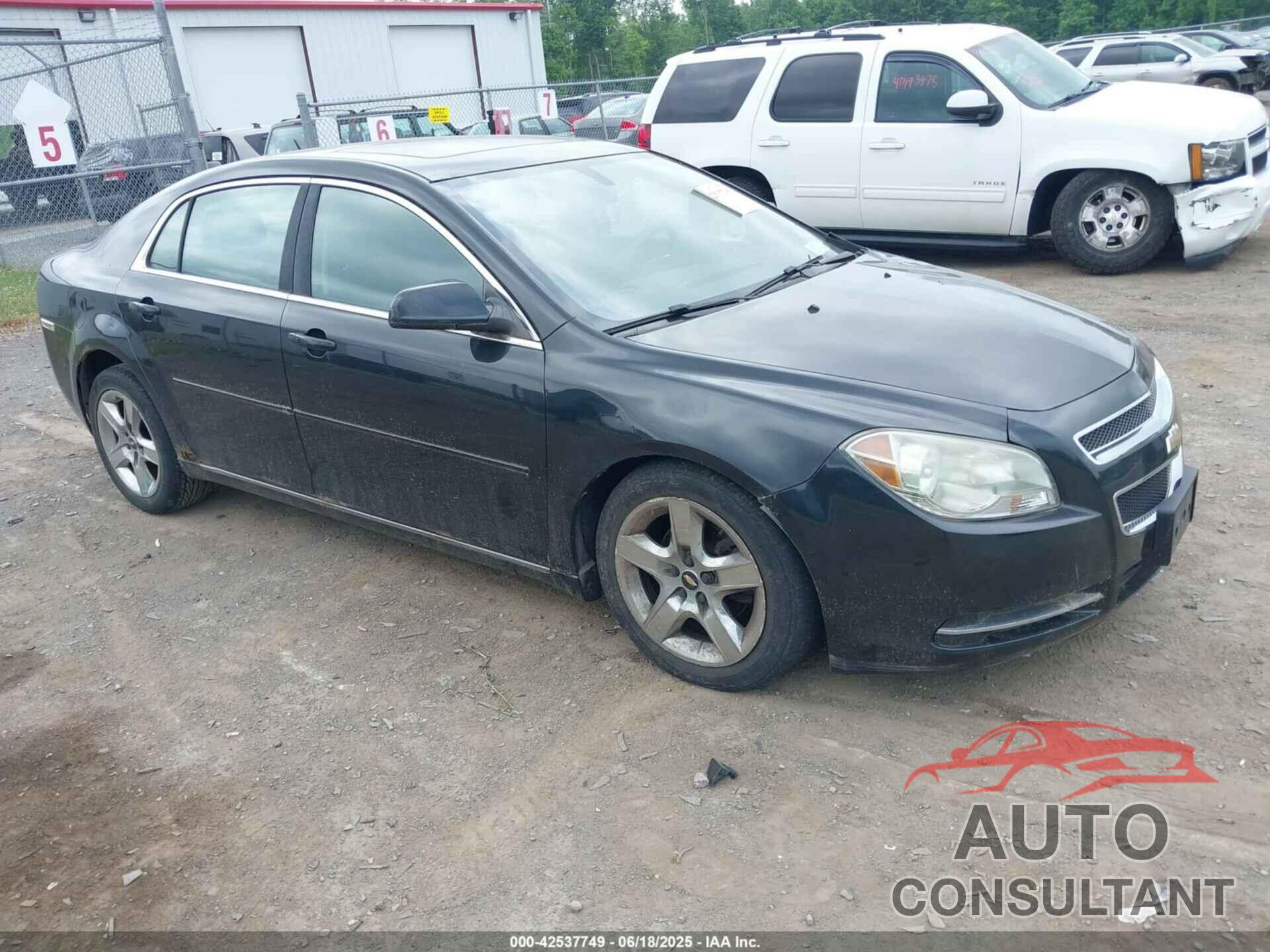 CHEVROLET MALIBU 2010 - 1G1ZC5EB5AF211160
