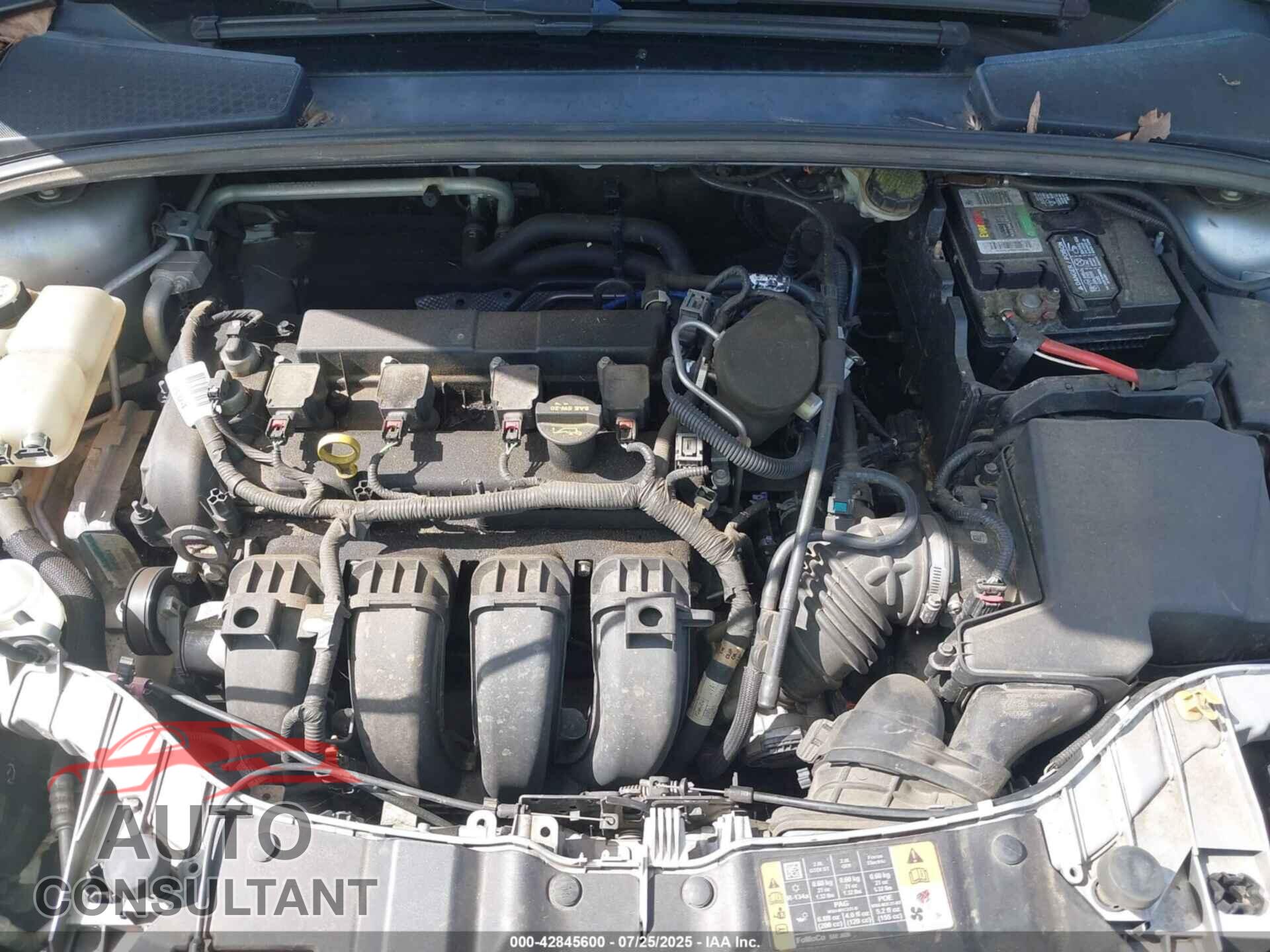 FORD FOCUS 2014 - 1FADP3F28EL382782