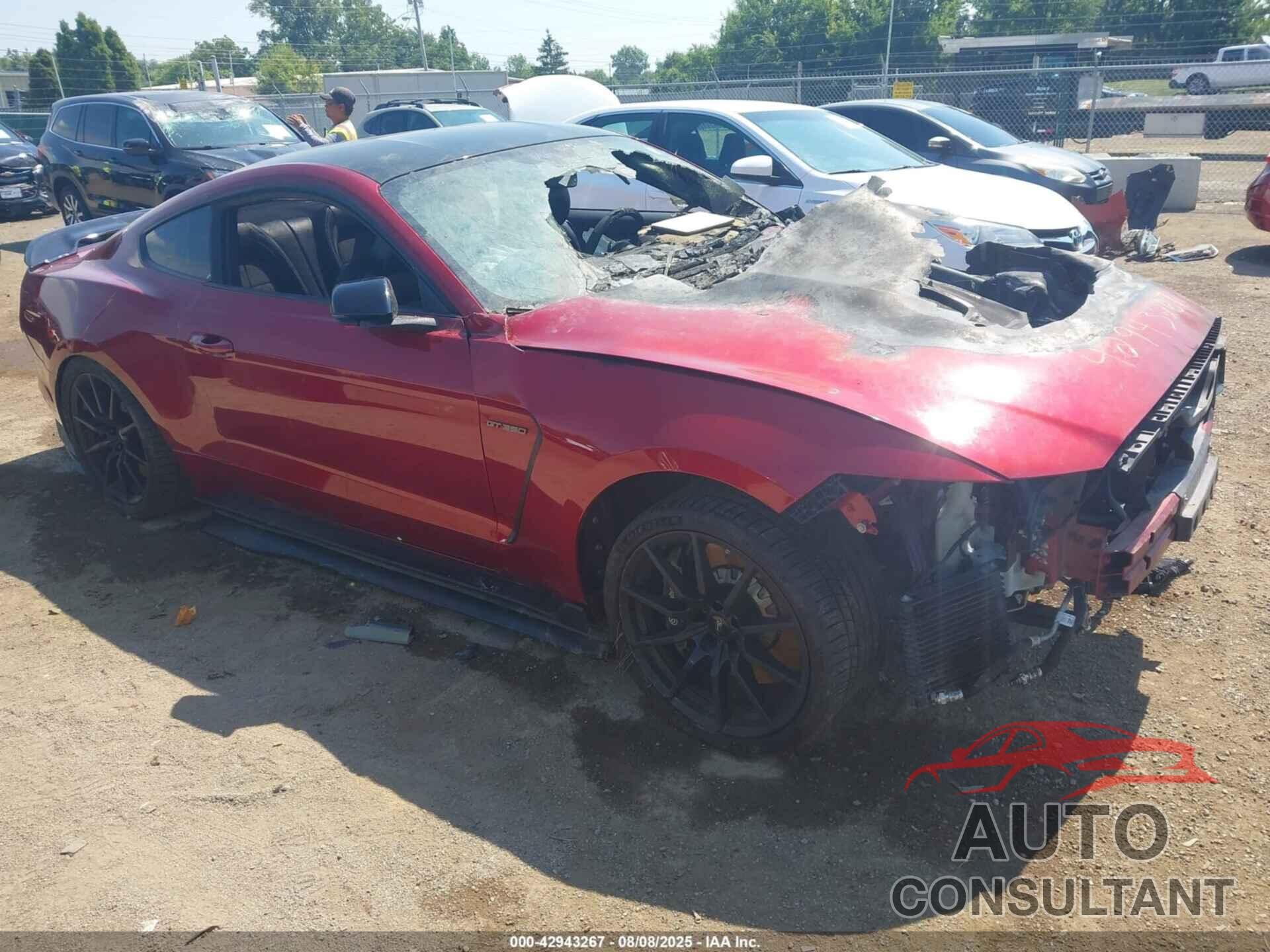 FORD MUSTANG 2019 - 1FA6P8JZ6K5553023
