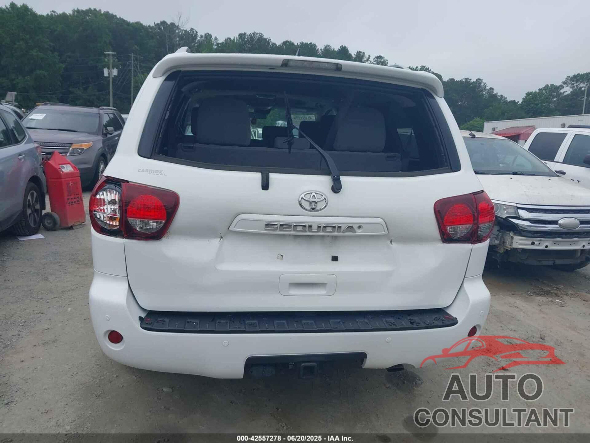 TOYOTA SEQUOIA 2019 - 5TDBY5G16KS170151