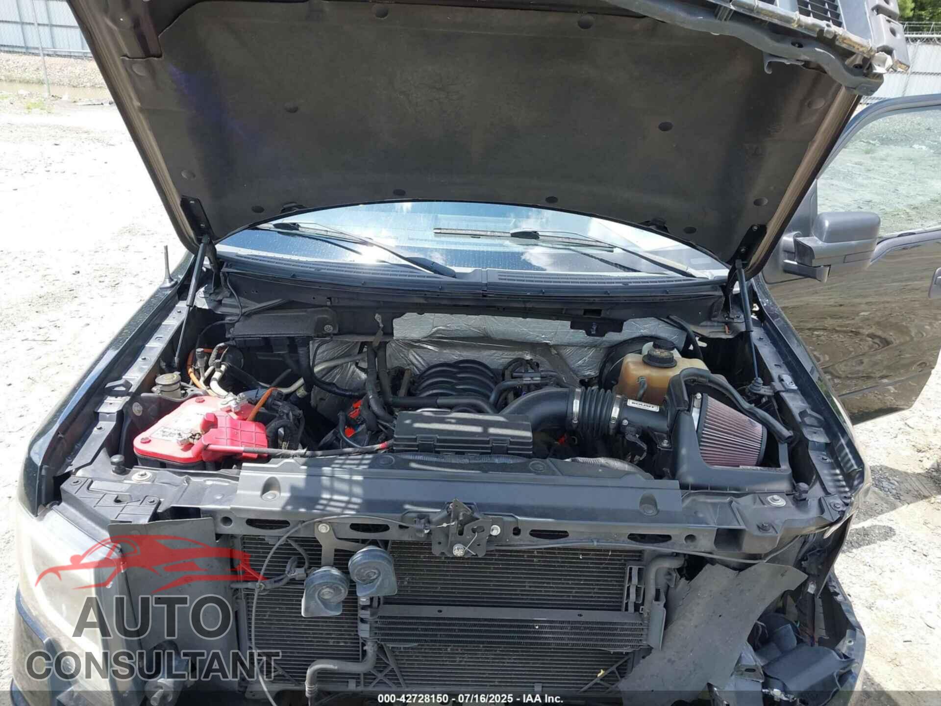 FORD F-150 2011 - 1FTFX1CF6BFB28951