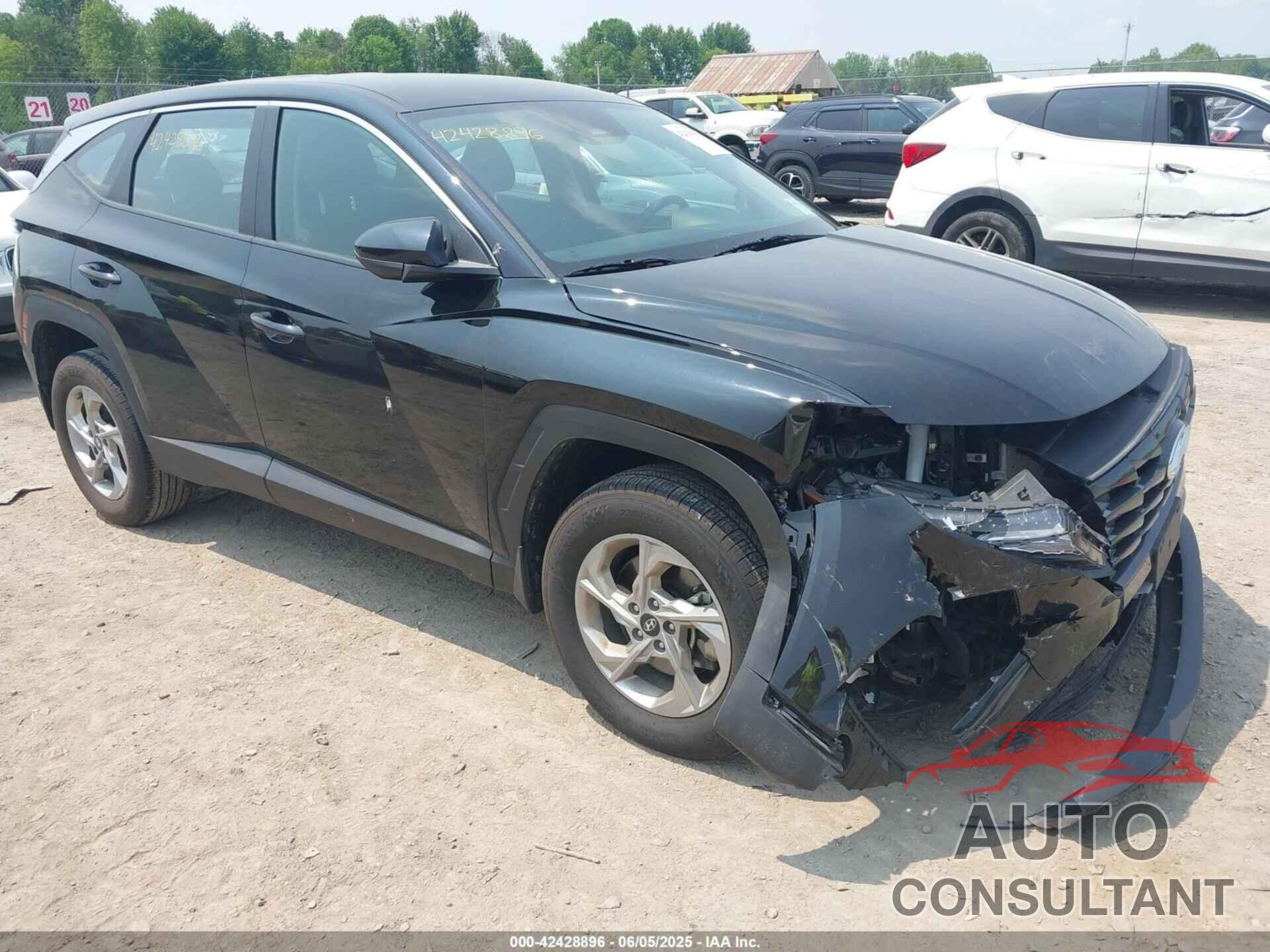 HYUNDAI TUCSON 2023 - 5NMJACAE0PH255416