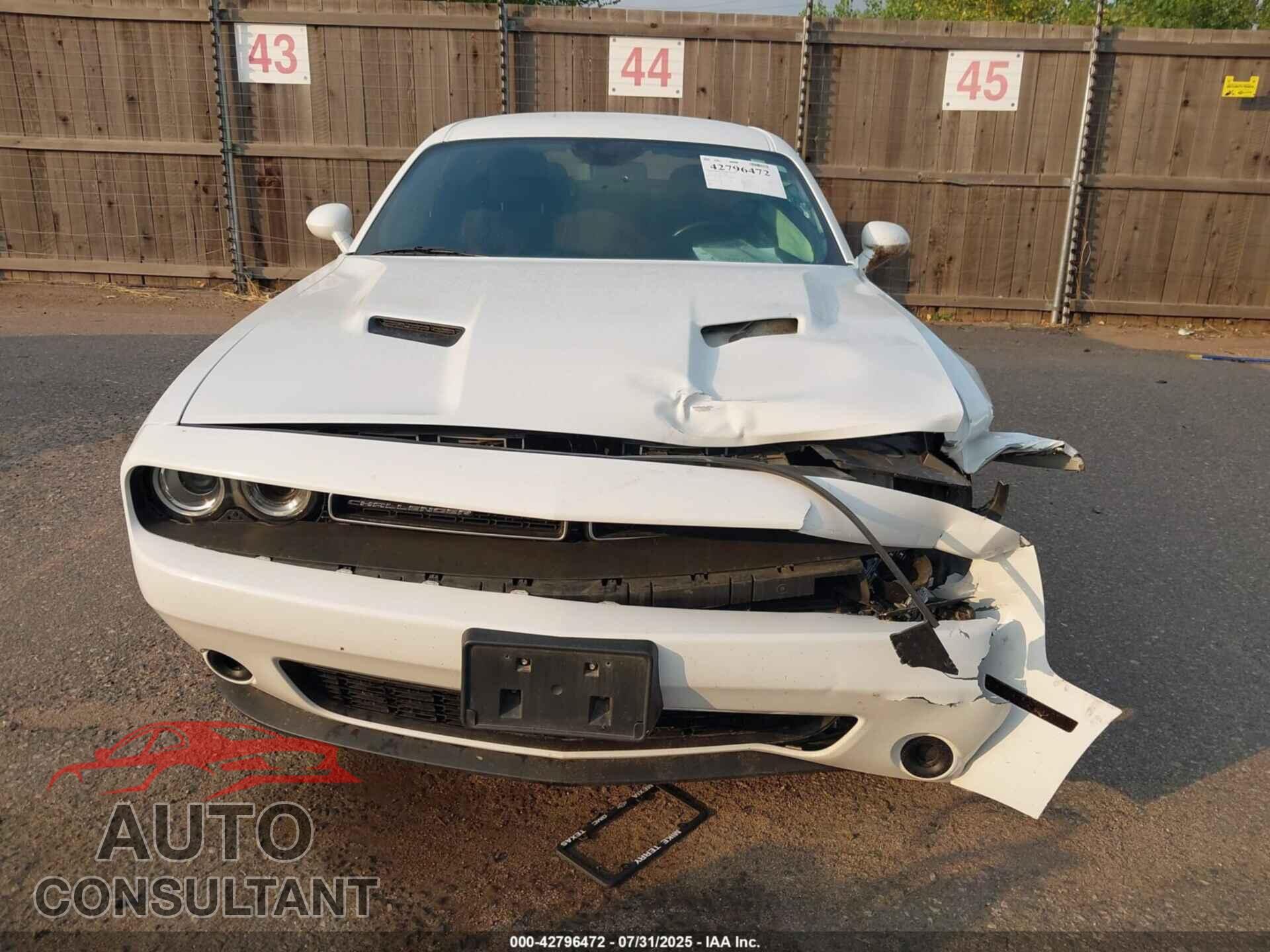 DODGE CHALLENGER 2019 - 2C3CDZAG9KH668643
