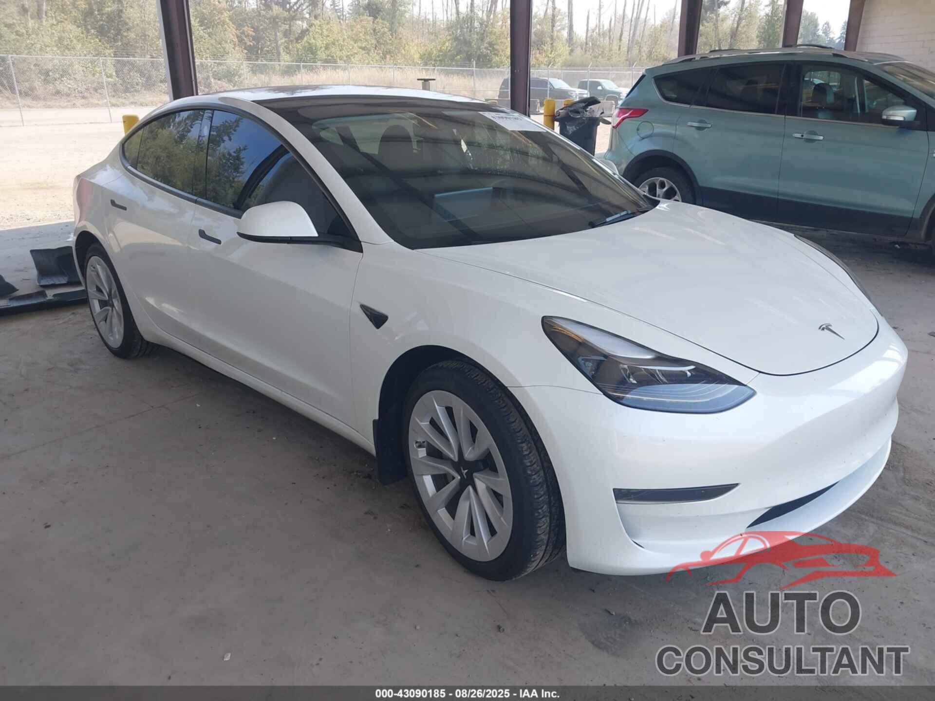 TESLA MODEL 3 2023 - 5YJ3E1EA3PF607124