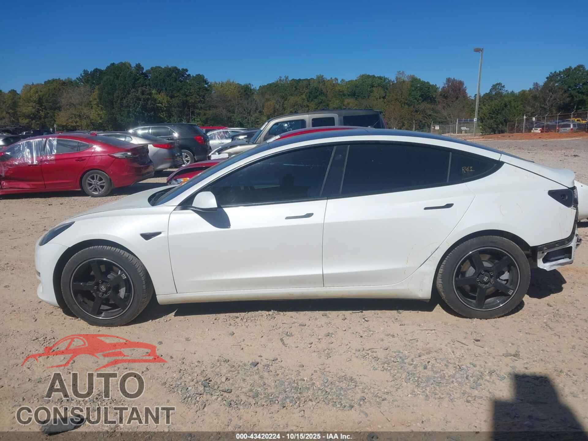 TESLA MODEL 3 2021 - 5YJ3E1EA2MF096419