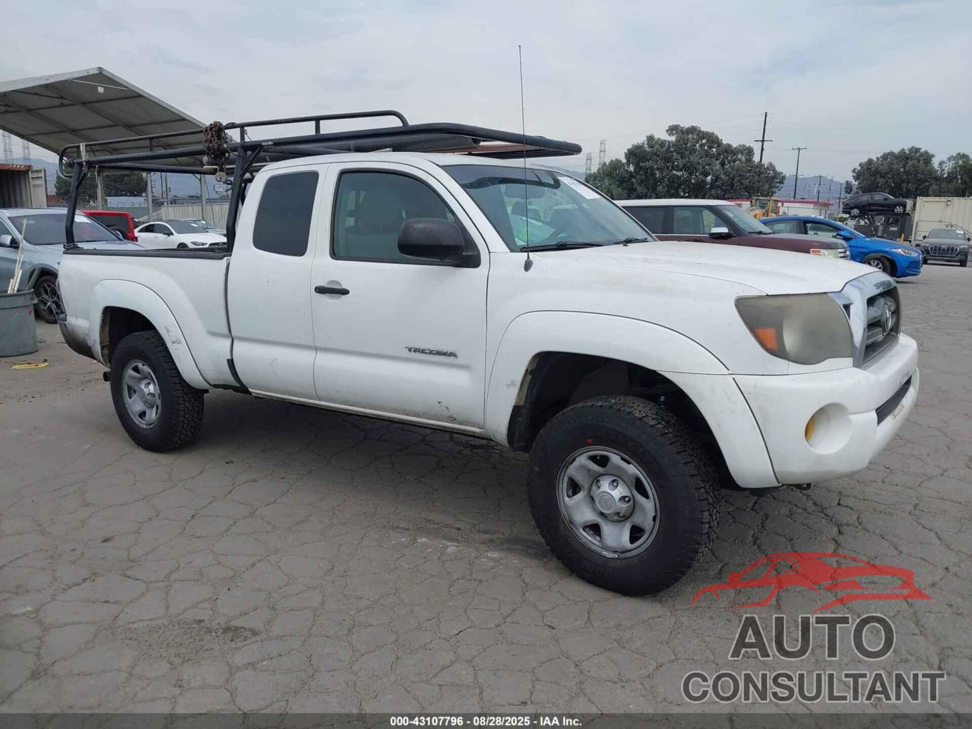 TOYOTA TACOMA 2009 - 5TETX62N49Z597588