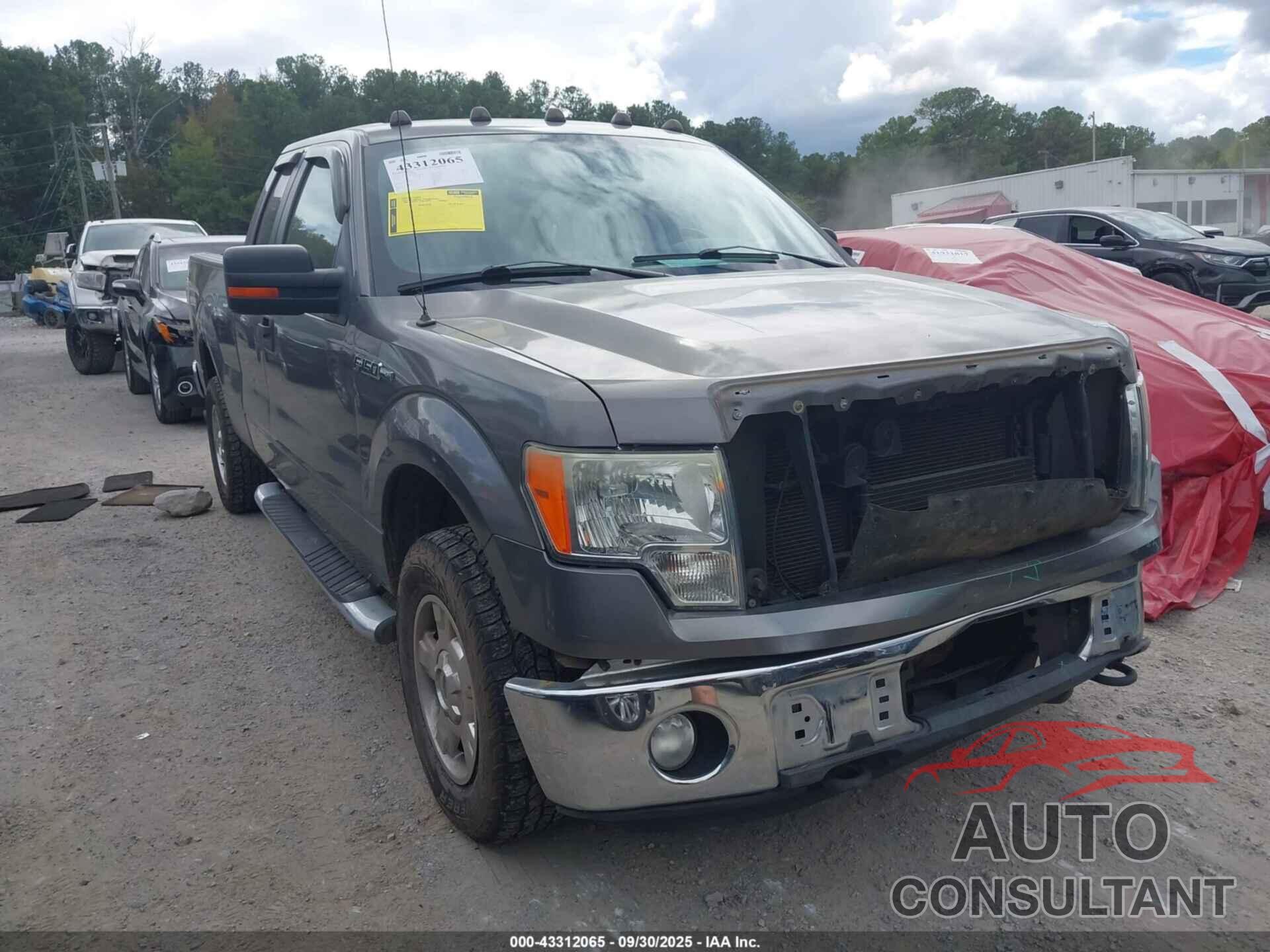 FORD F-150 2011 - 1FTFX1EF7BFA58065