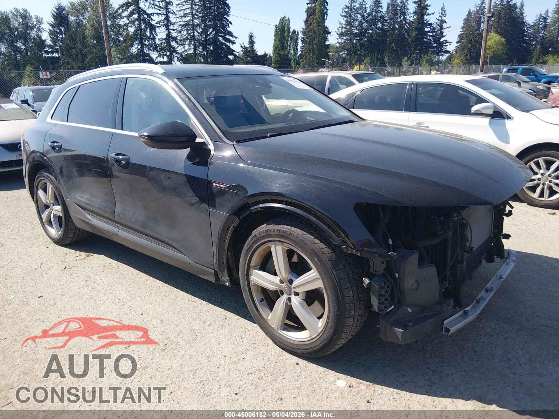 AUDI E-TRON 2019 - WA1VAAGE7KB010035
