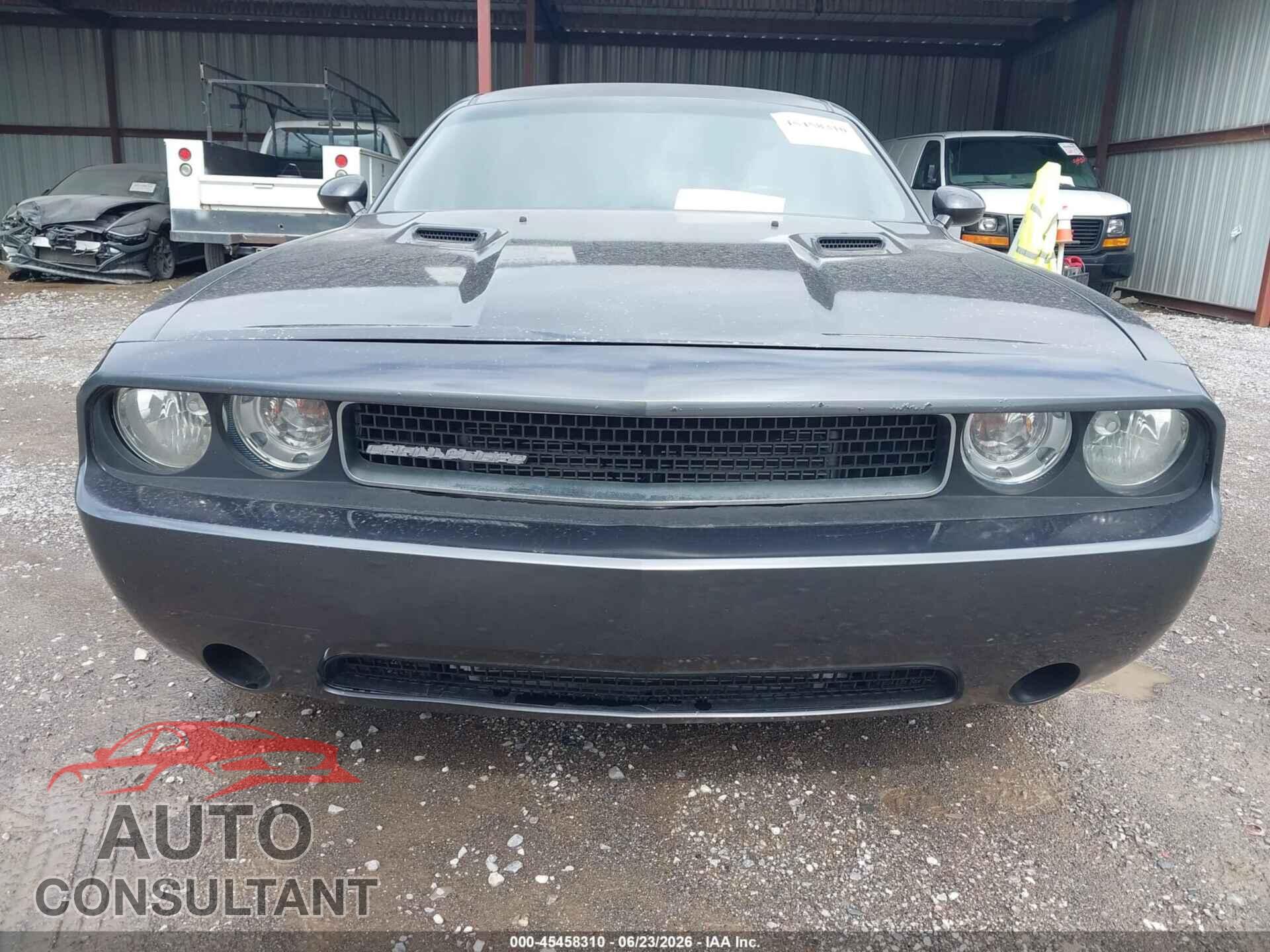 DODGE CHALLENGER 2013 - 2C3CDYAG3DH592897