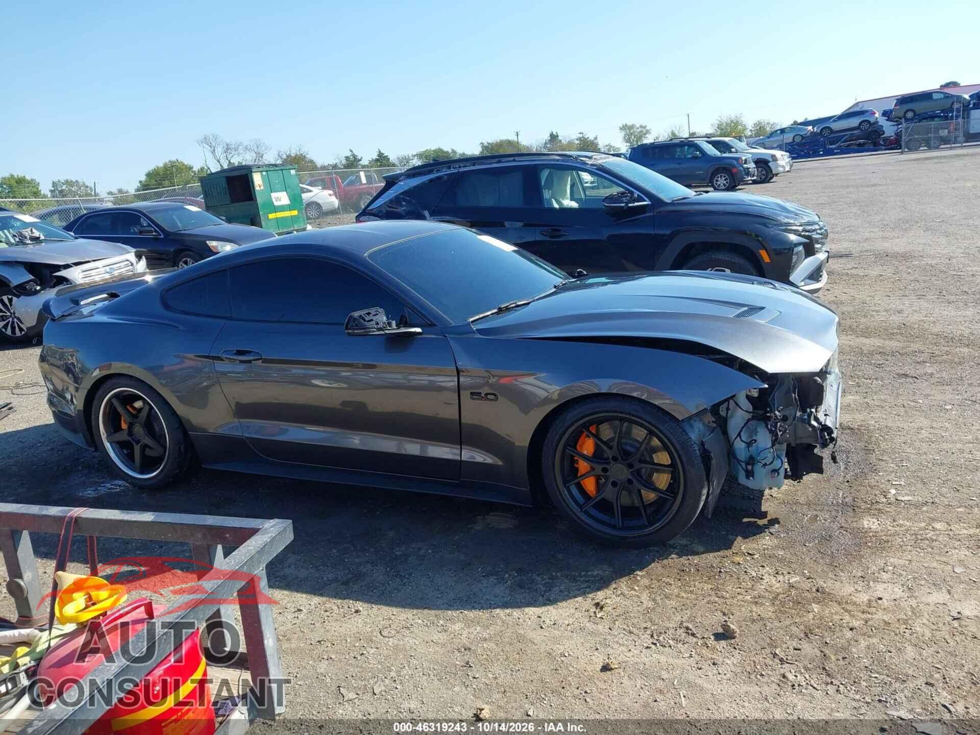 FORD MUSTANG 2019 - 1FA6P8CF2K5111777