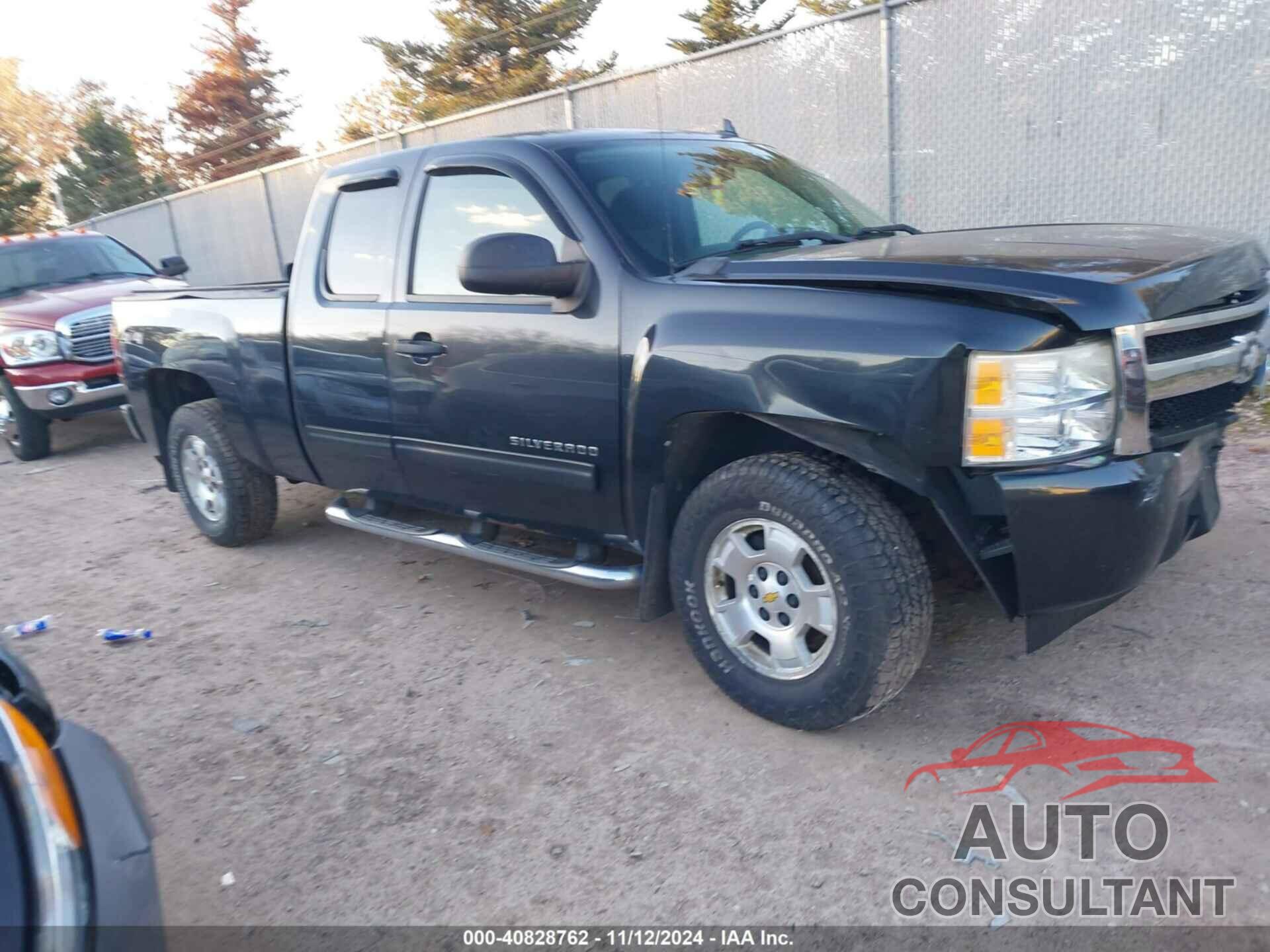 CHEVROLET SILVERADO 1500 2010 - 1GCSKSE39AZ106008