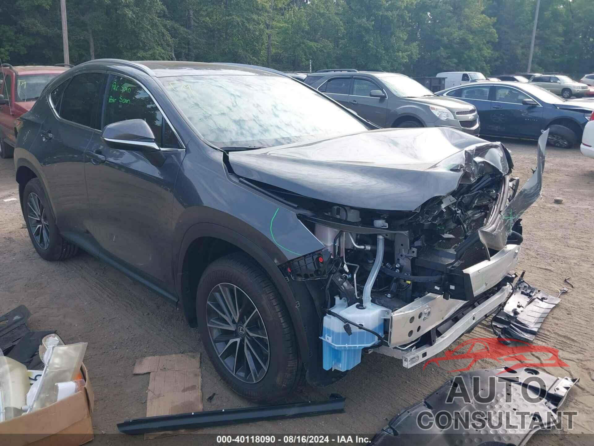 LEXUS NX 350H 2024 - 2T2GKCEZ4RC030764