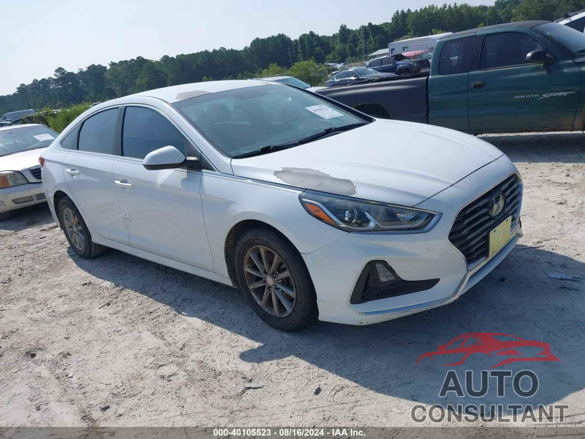 HYUNDAI SONATA 2019 - 5NPE24AF1KH764312