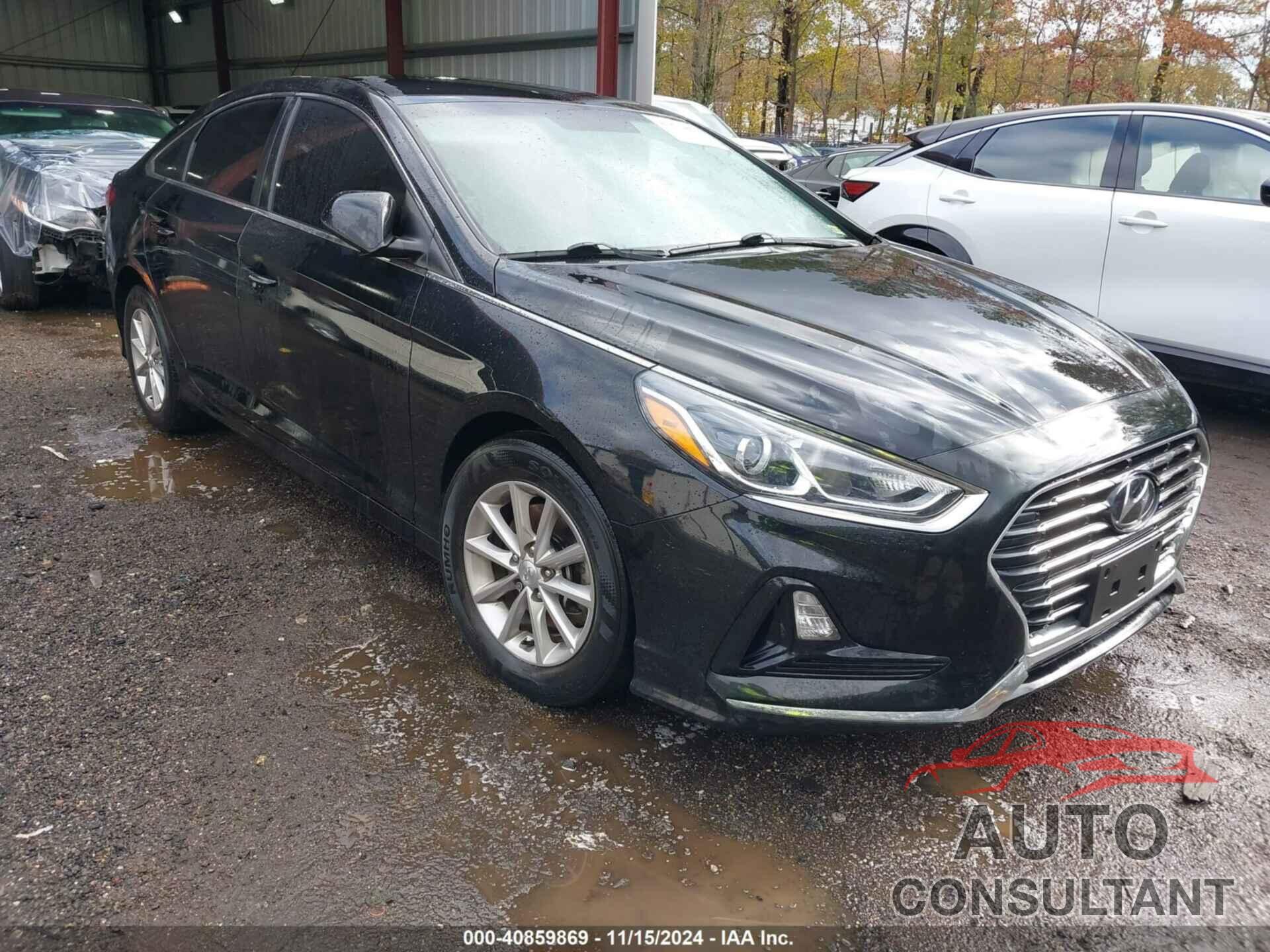 HYUNDAI SONATA 2019 - 5NPE24AF0KH817503