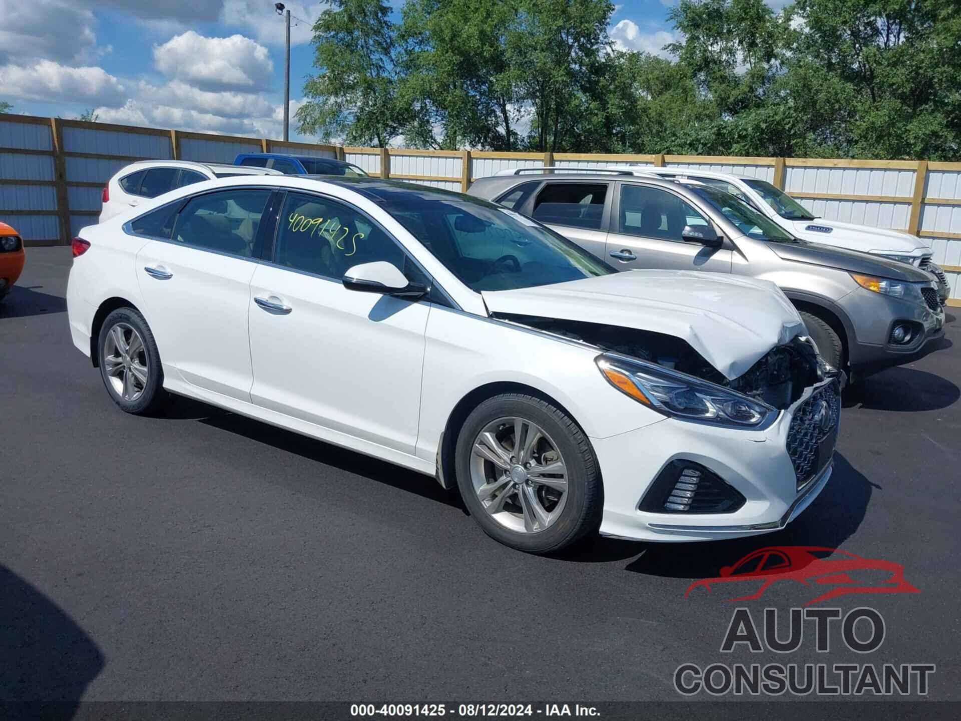 HYUNDAI SONATA 2019 - 5NPE34AF4KH816111