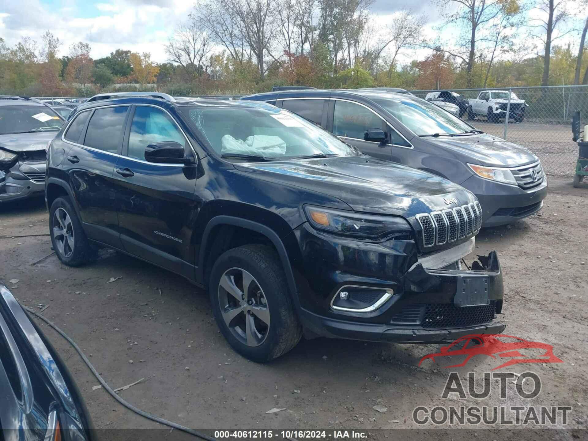JEEP CHEROKEE 2019 - 1C4PJMDXXKD230604