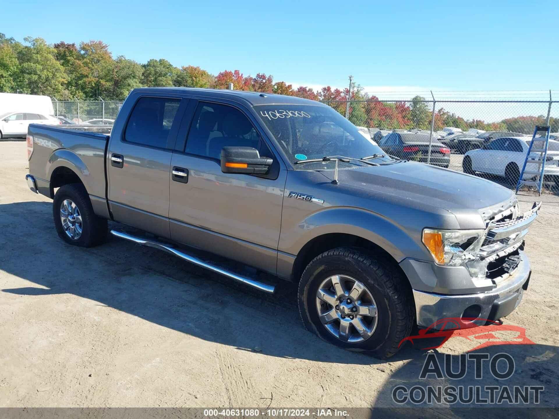 FORD F-150 2013 - 1FTFW1EF3DFD66050