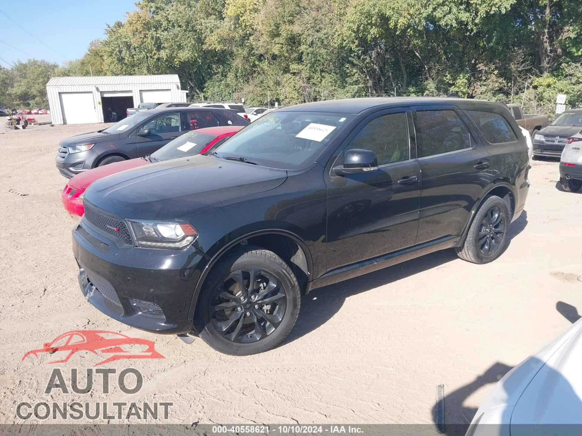 DODGE DURANGO 2019 - 1C4RDJDGXKC606299