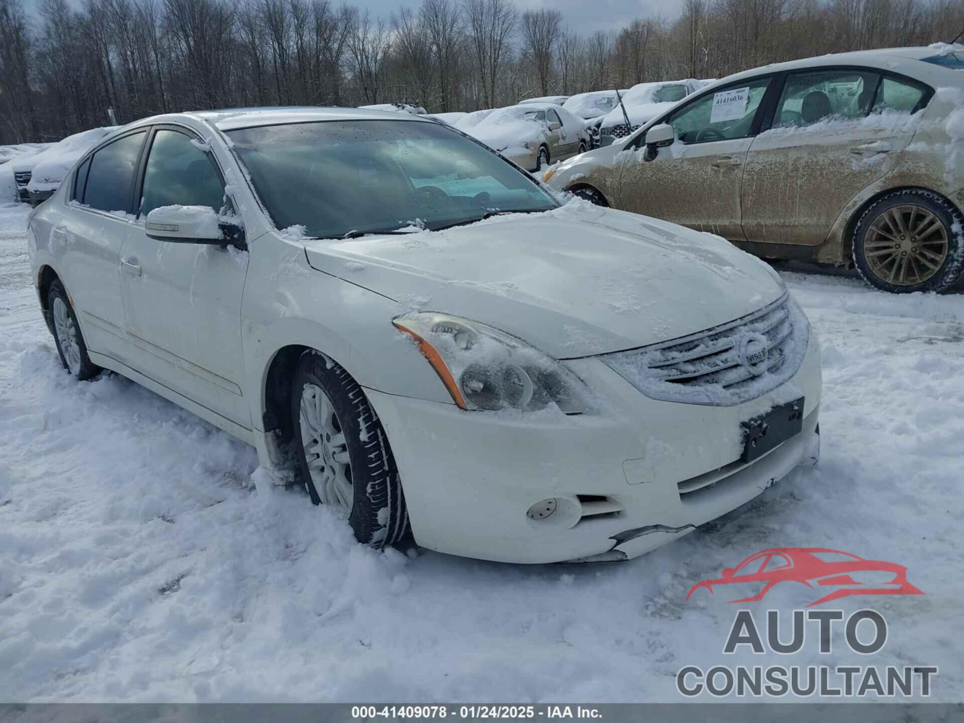 NISSAN ALTIMA 2011 - 1N4AL2AP0BN515630