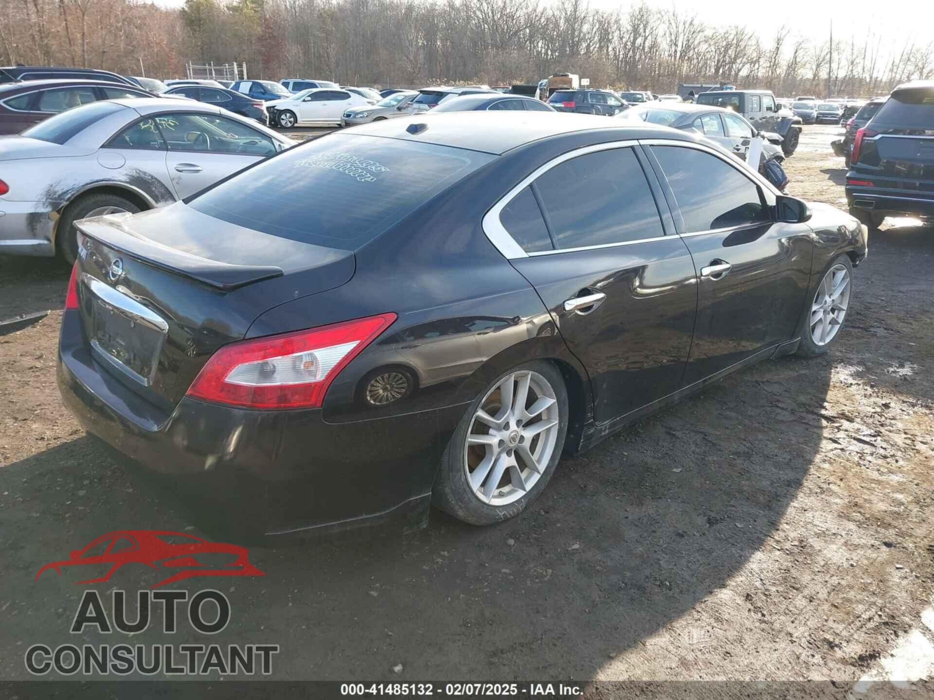 NISSAN MAXIMA 2011 - 1N4AA5AP1BC800498