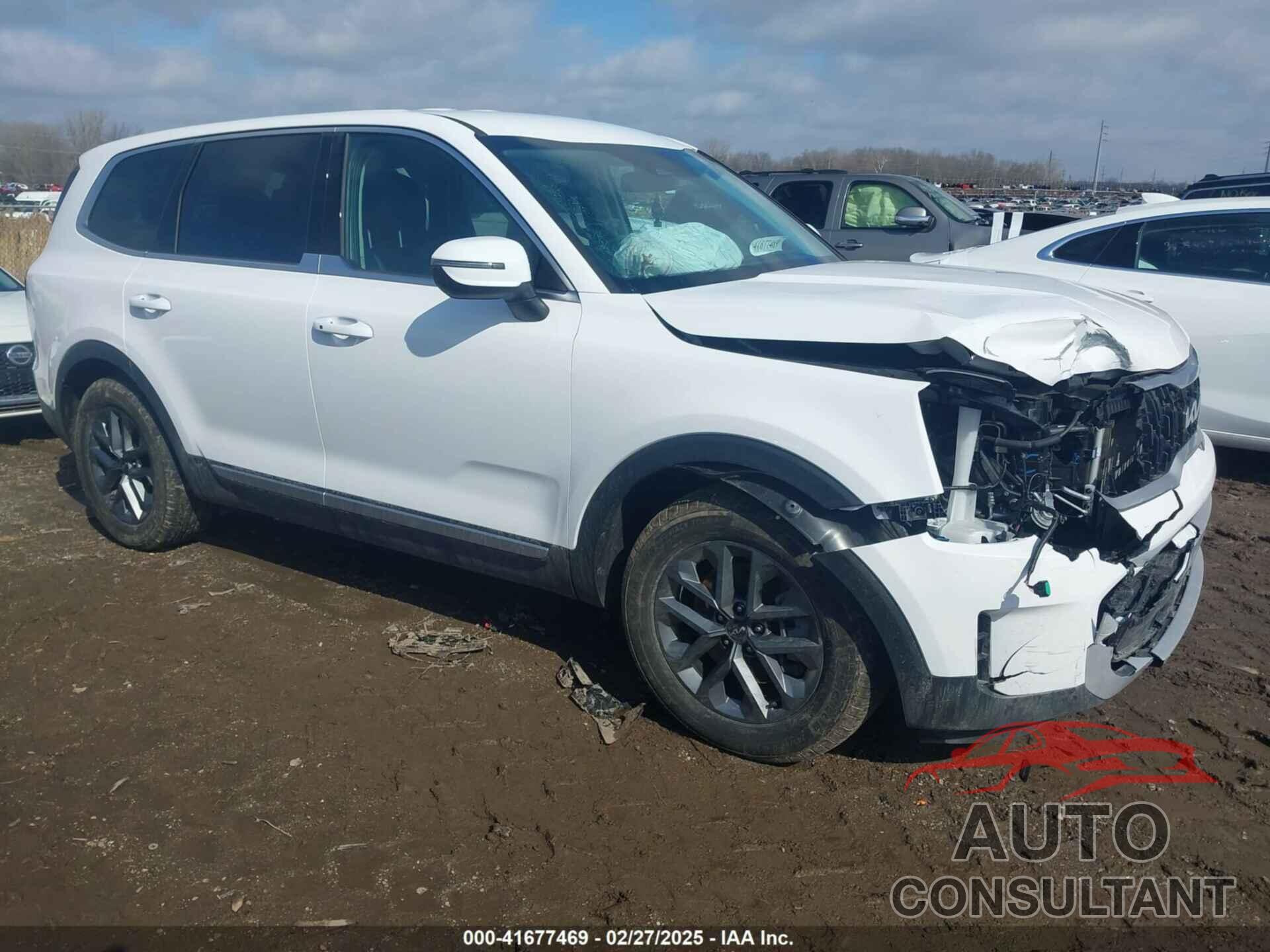 KIA TELLURIDE 2024 - 5XYP2DGCXRG524893