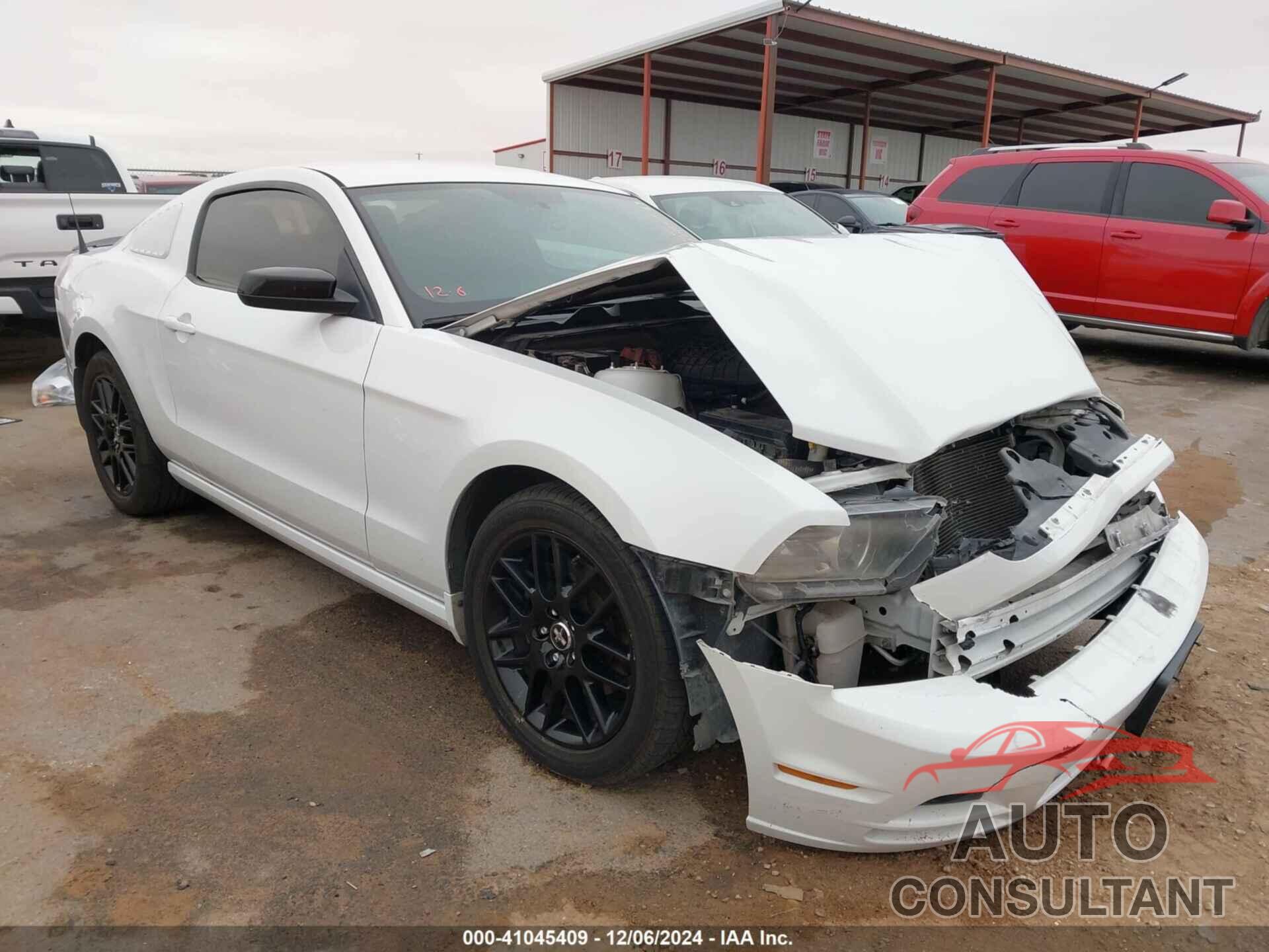 FORD MUSTANG 2014 - 1ZVBP8AM6E5288148