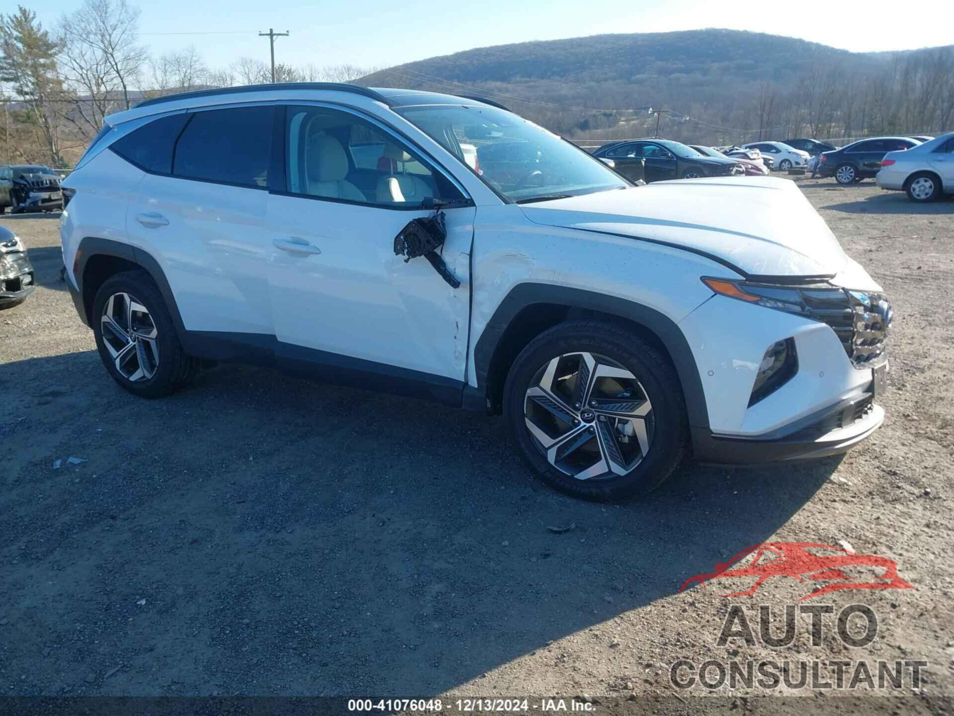 HYUNDAI TUCSON 2024 - 5NMJECDE2RH380484