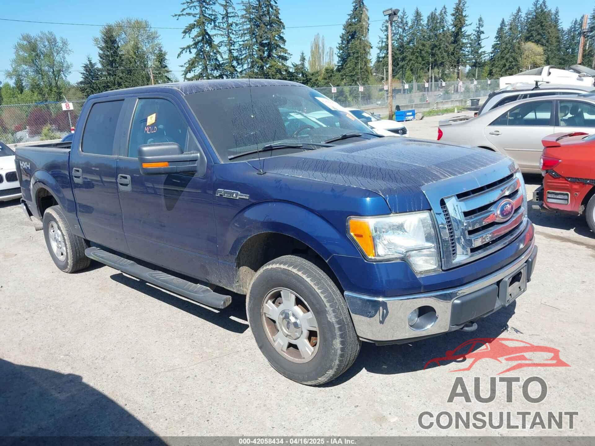 FORD F-150 2011 - 1FTFW1EF9BKD15737
