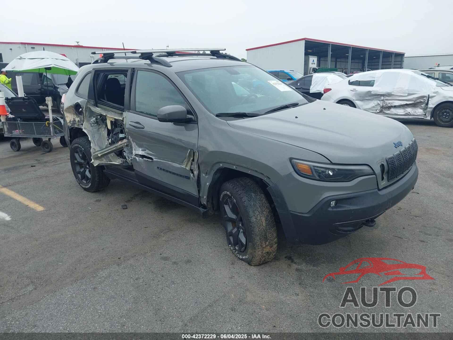 JEEP CHEROKEE 2019 - 1C4PJMCX3KD448868