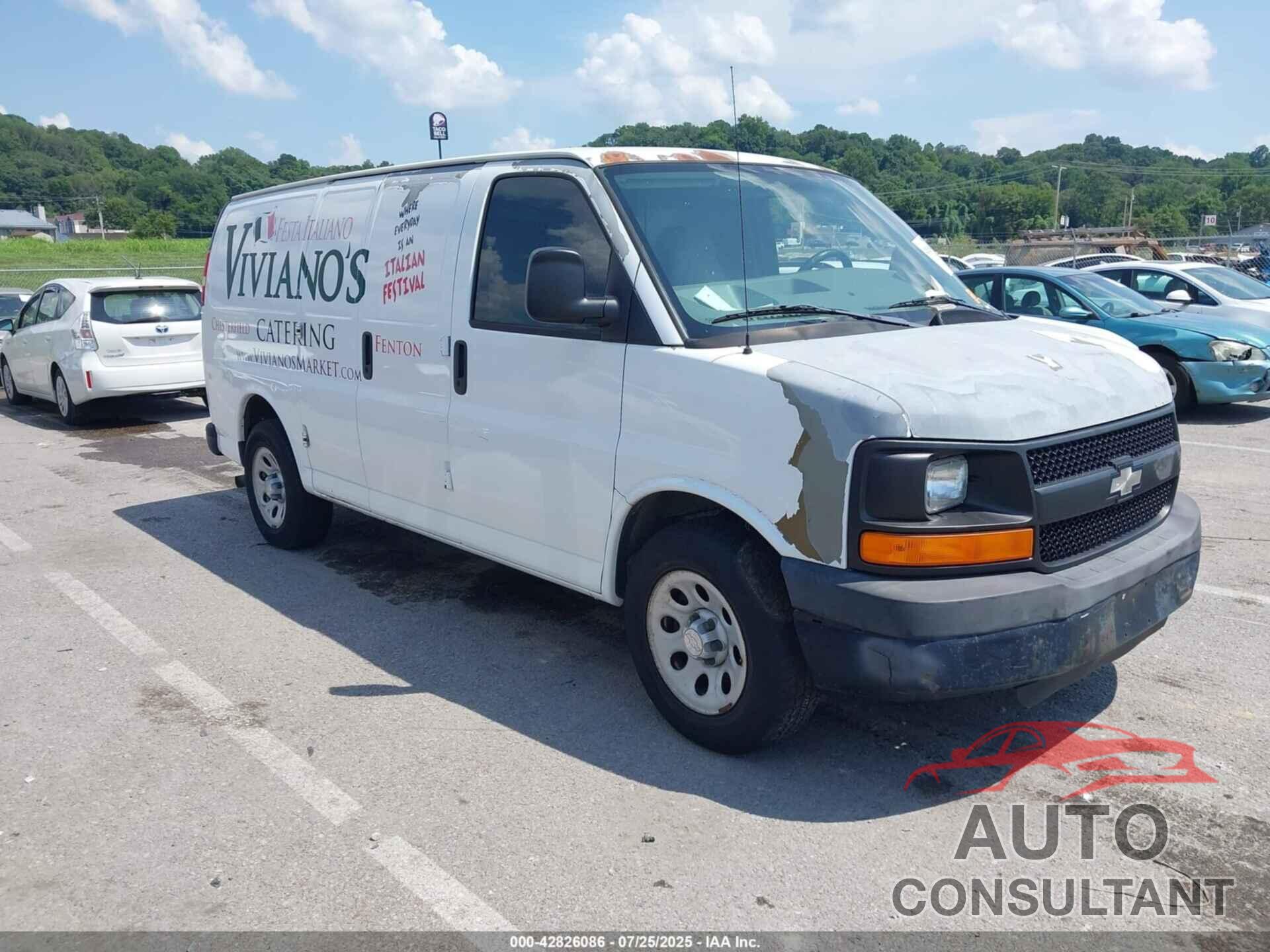 CHEVROLET EXPRESS 1500 2009 - 1GCFG15X191145959