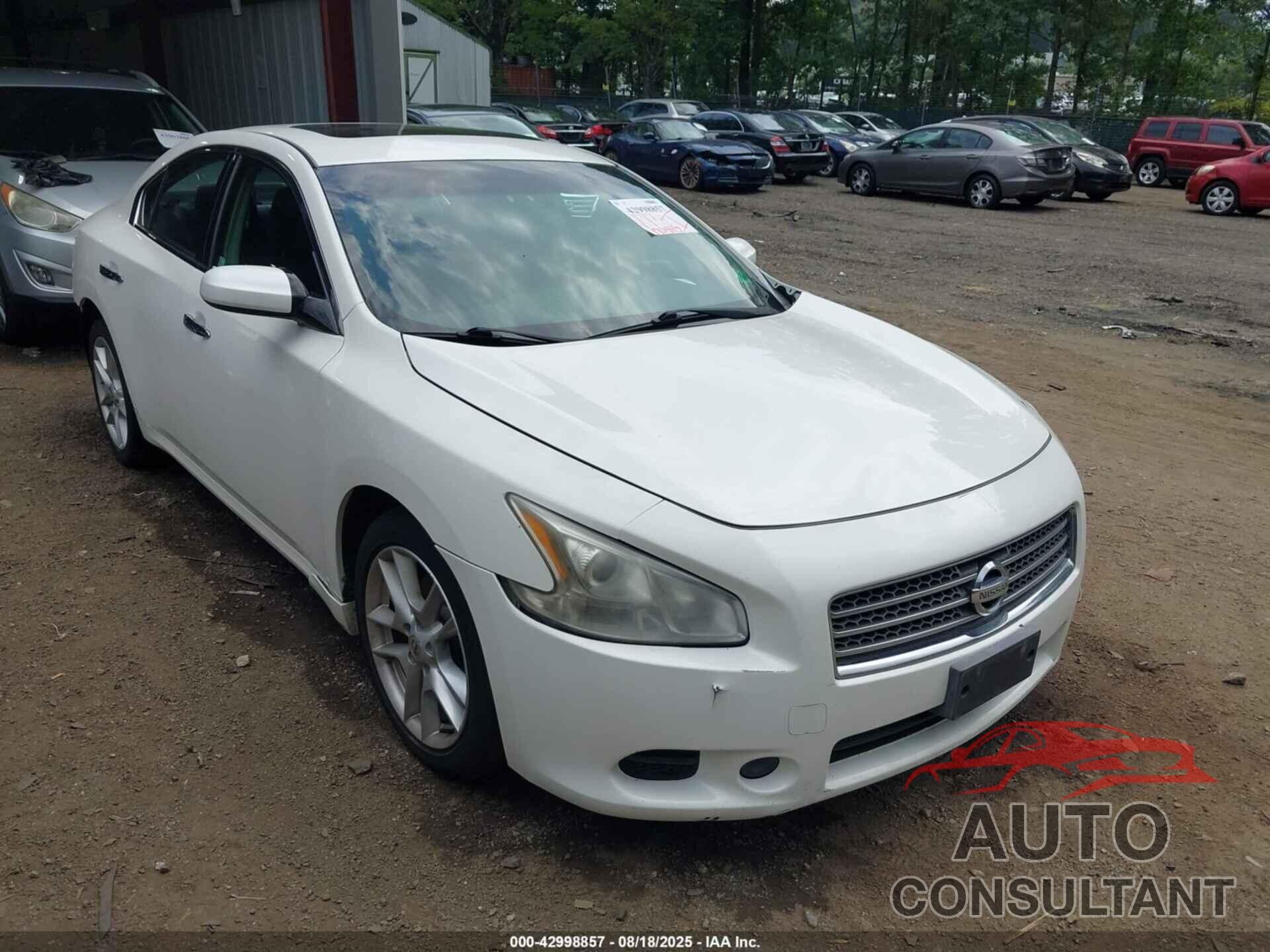 NISSAN MAXIMA 2009 - 1N4AA51E19C861911