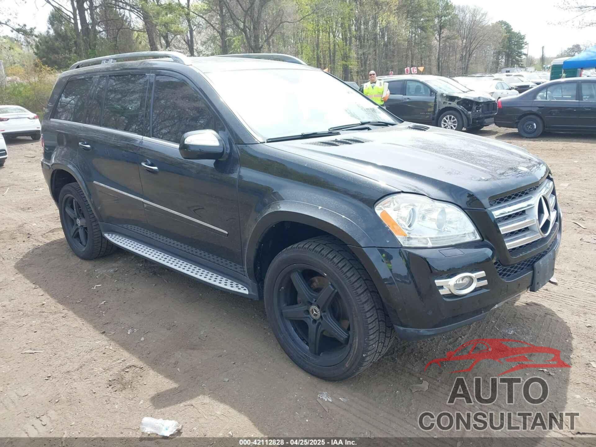 MERCEDES-BENZ GL 550 2009 - 4JGBF86E29A530952