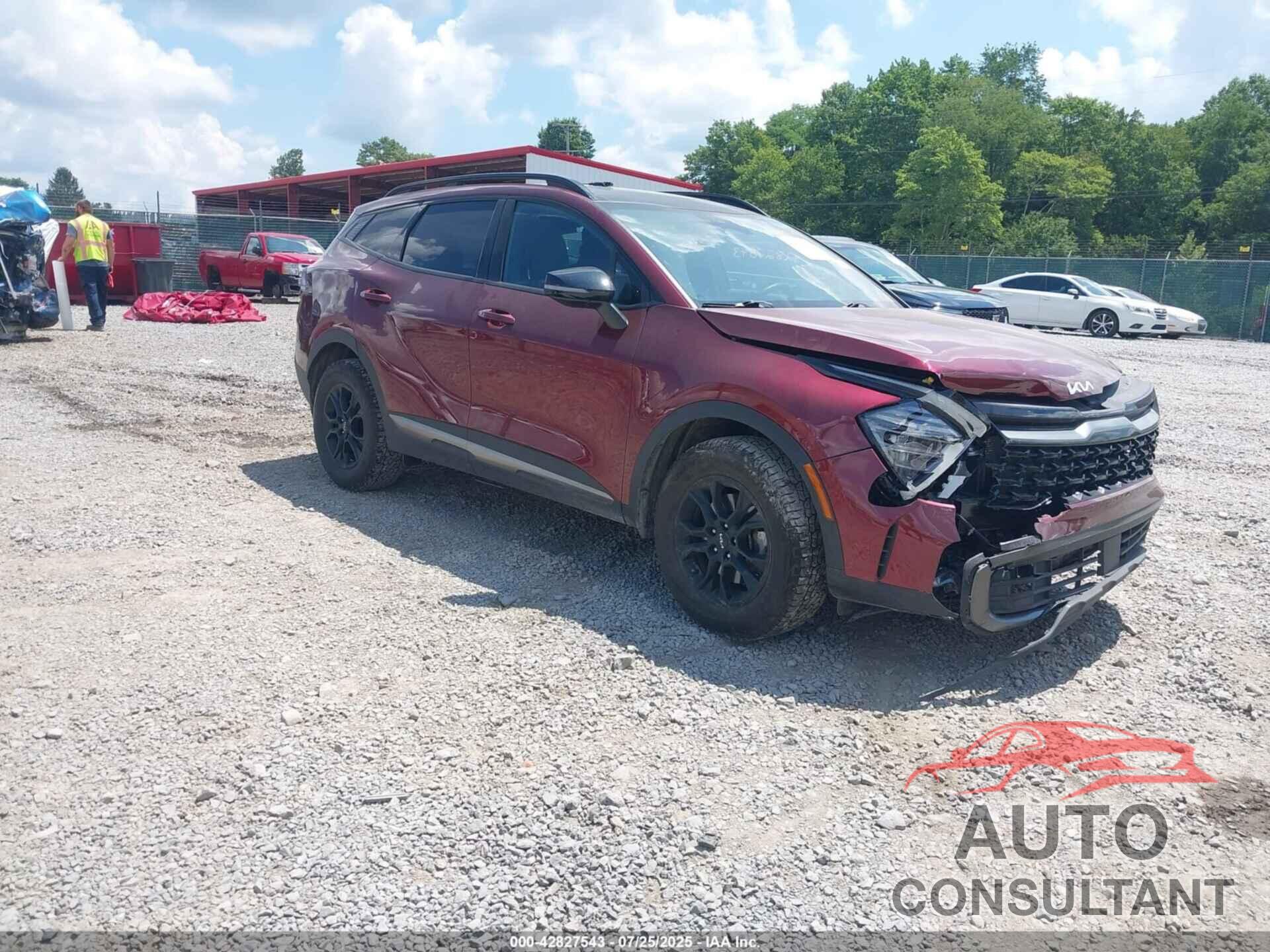 KIA SPORTAGE 2024 - 5XYK7CDF3RG231020