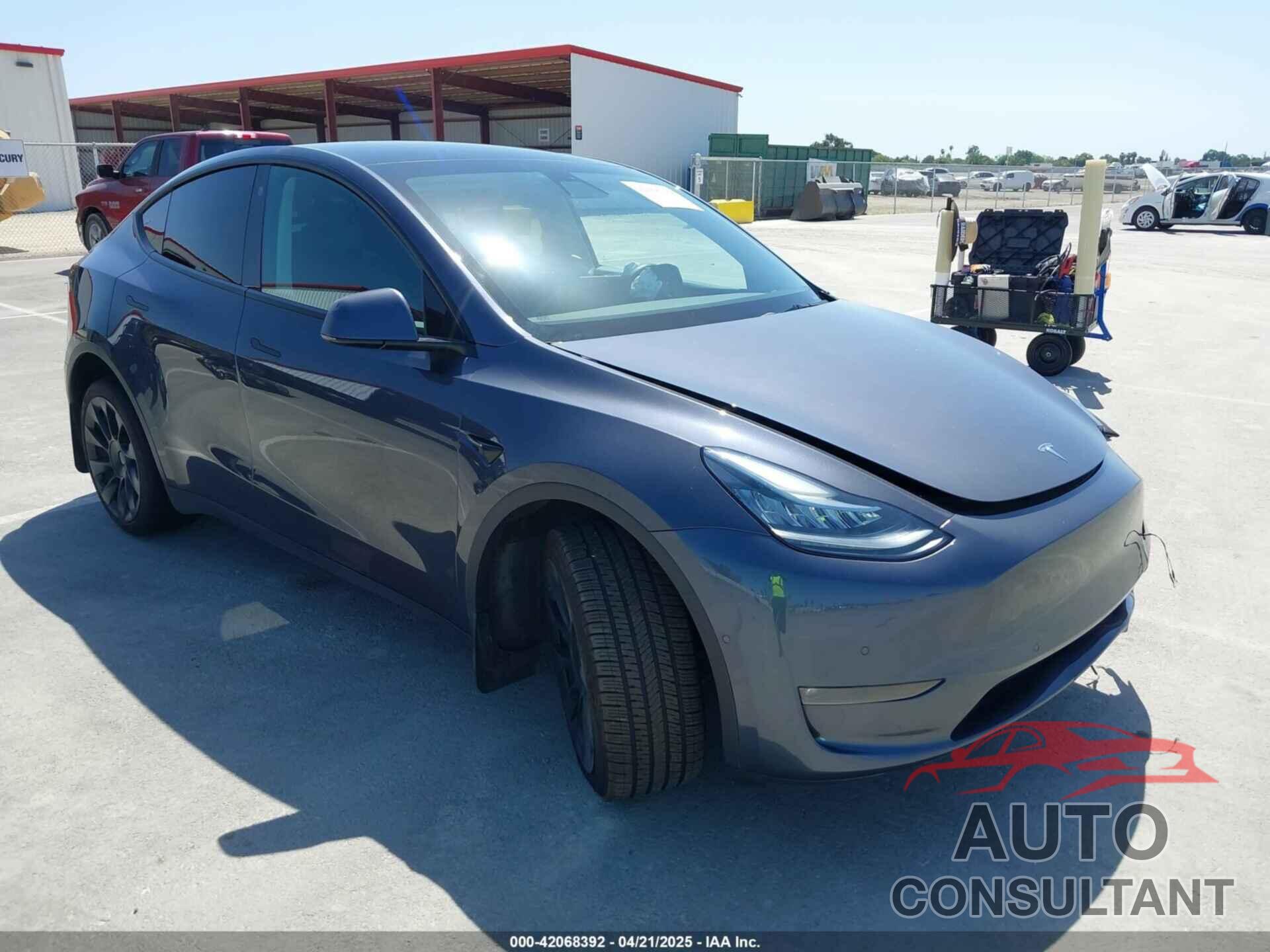 TESLA MODEL Y 2022 - 7SAYGAEE4NF341230