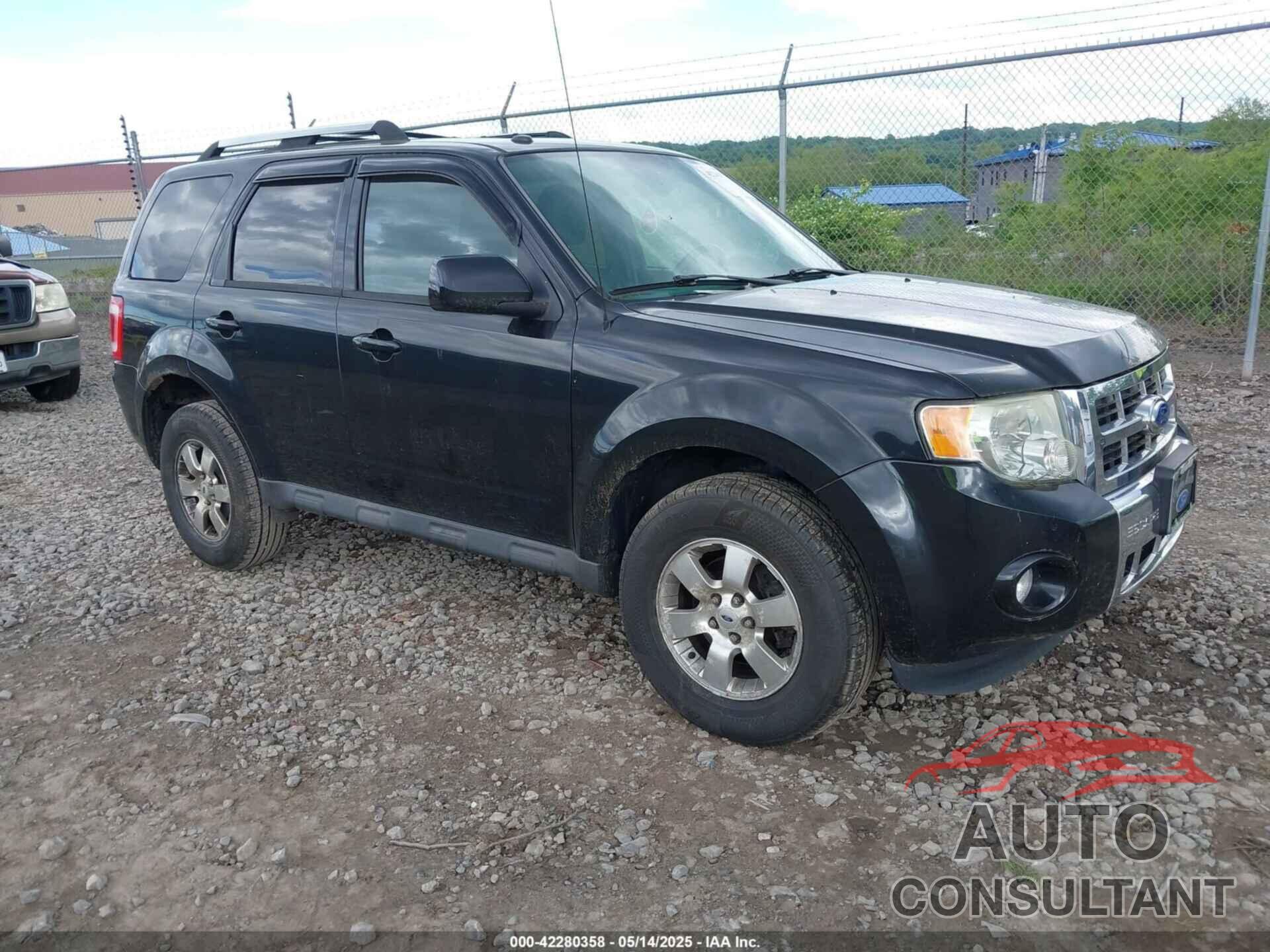 FORD ESCAPE 2011 - 1FMCU0EG0BKC09510