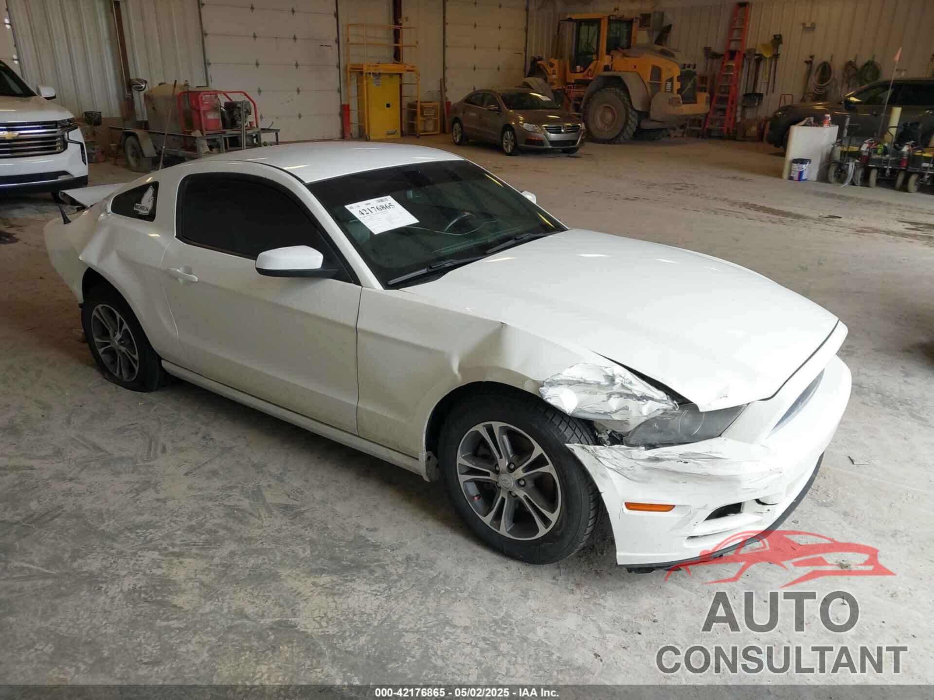 FORD MUSTANG 2014 - 1ZVBP8AMXE5310670