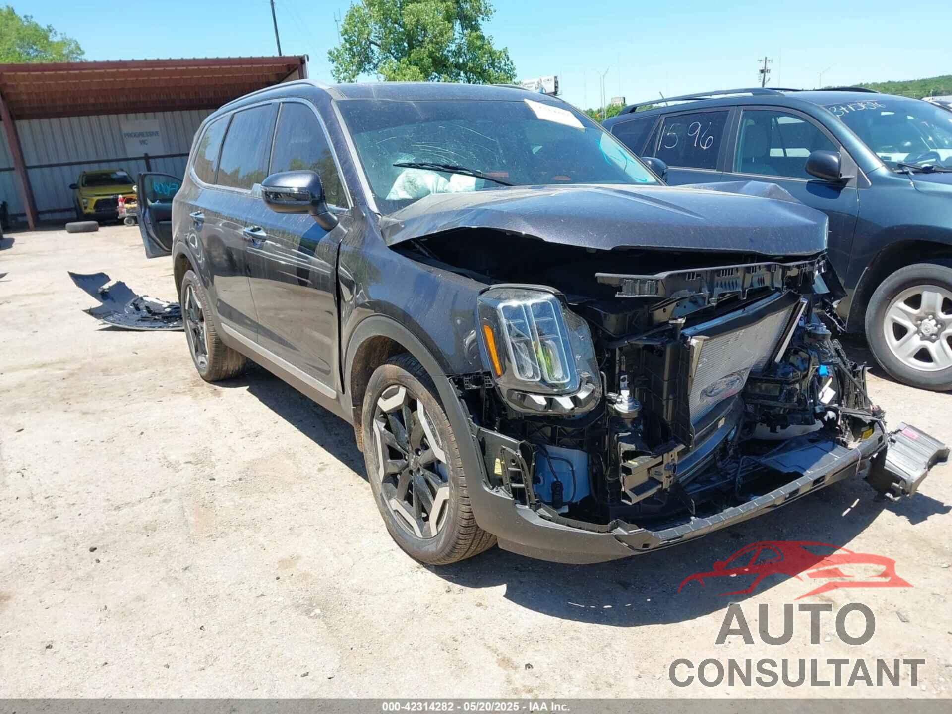 KIA TELLURIDE 2025 - 5XYP6DGC0SG614158
