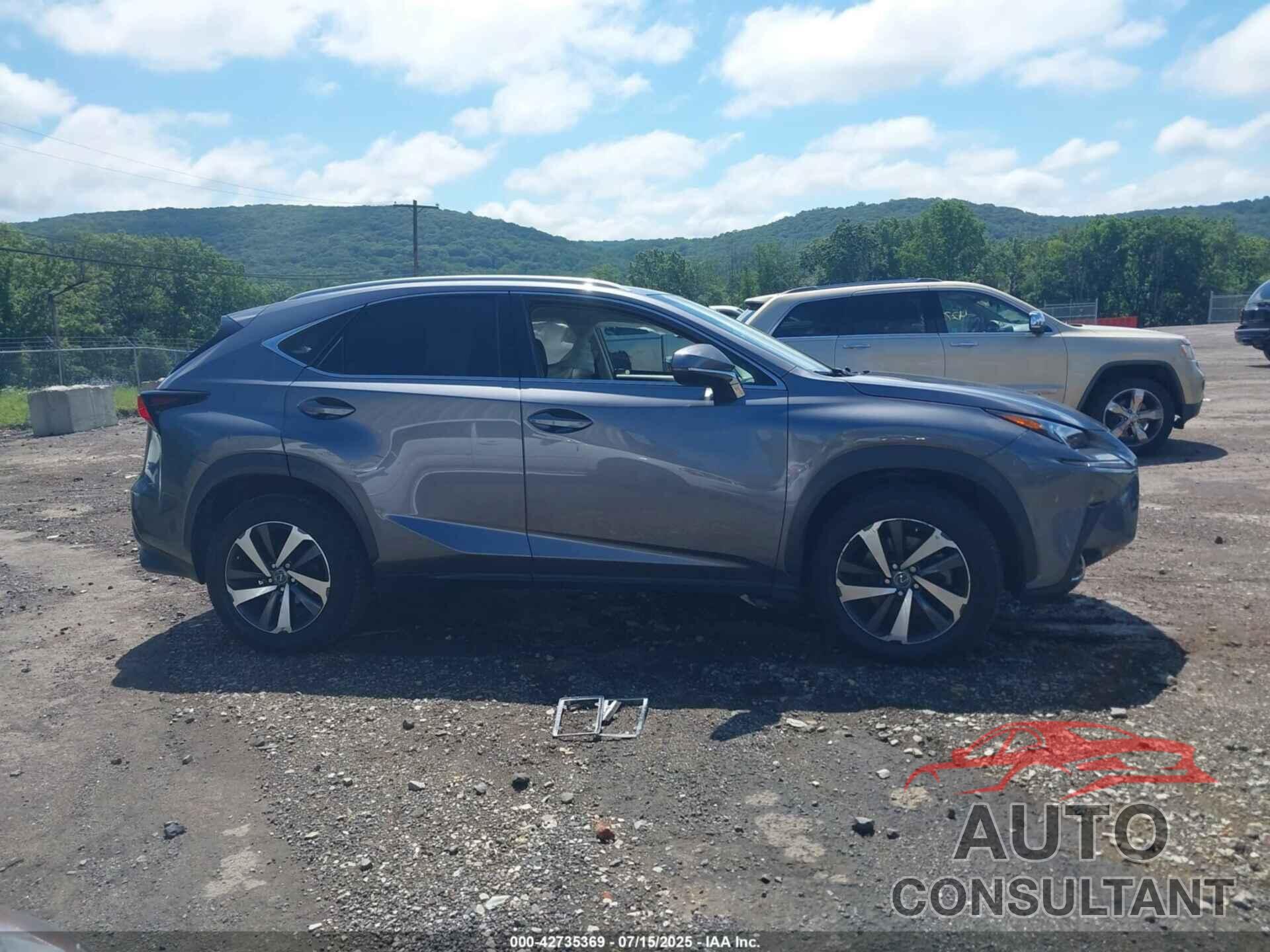 LEXUS NX 300 2019 - JTJBARBZXK2217484