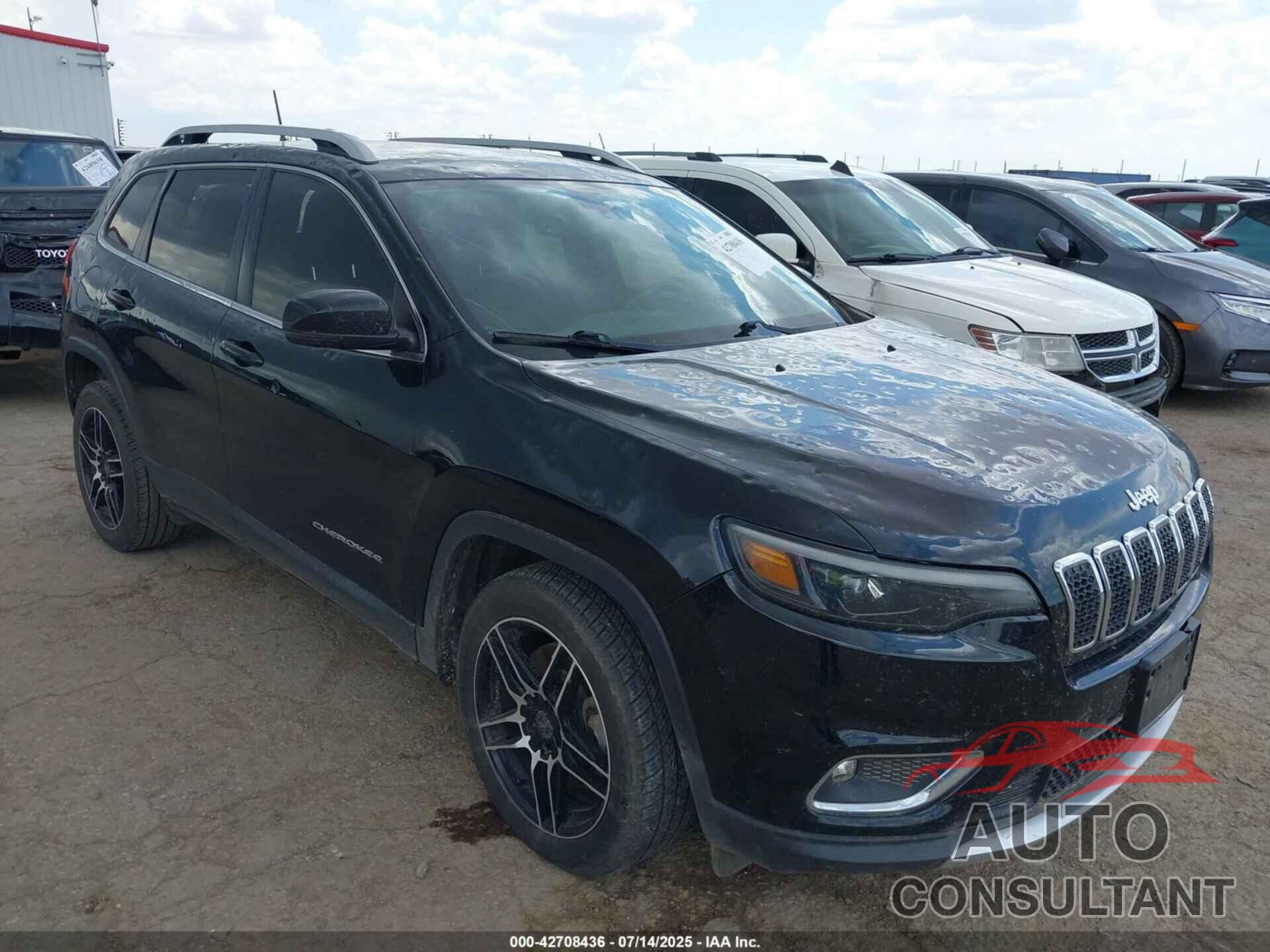 JEEP CHEROKEE 2019 - 1C4PJLDB9KD487865