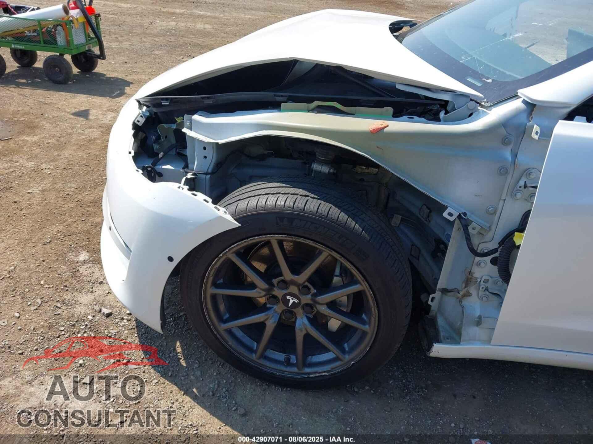 TESLA MODEL 3 2019 - 5YJ3E1EA2KF429392