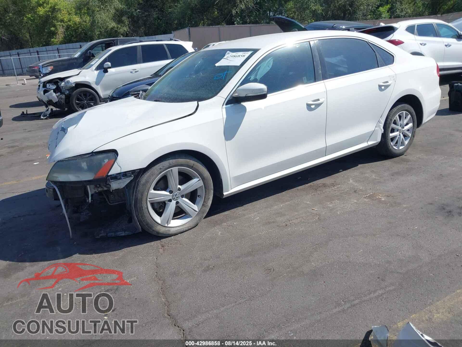 VOLKSWAGEN PASSAT 2013 - 1VWBP7A34DC090521