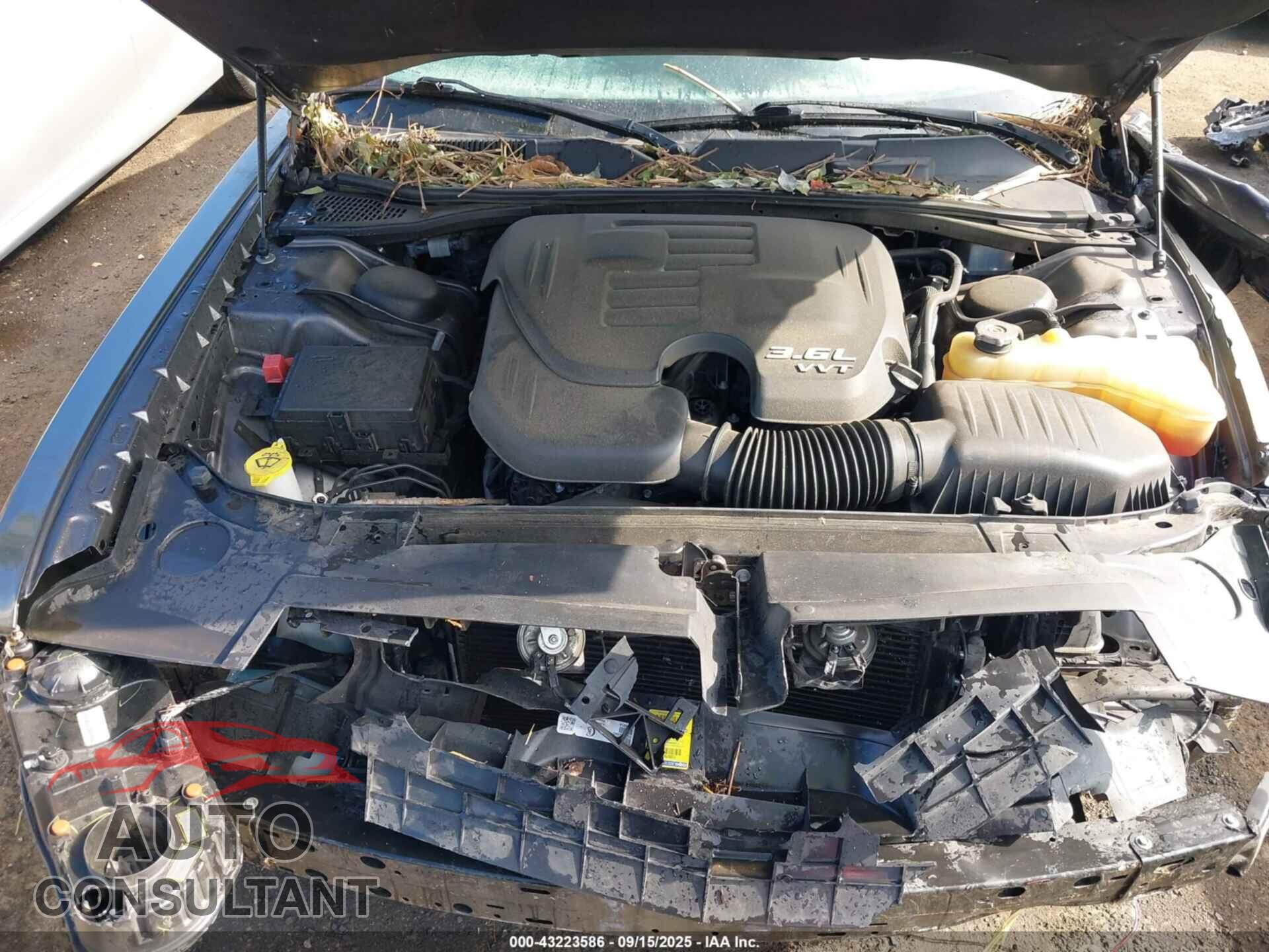 DODGE CHALLENGER 2019 - 2C3CDZAG0KH712674