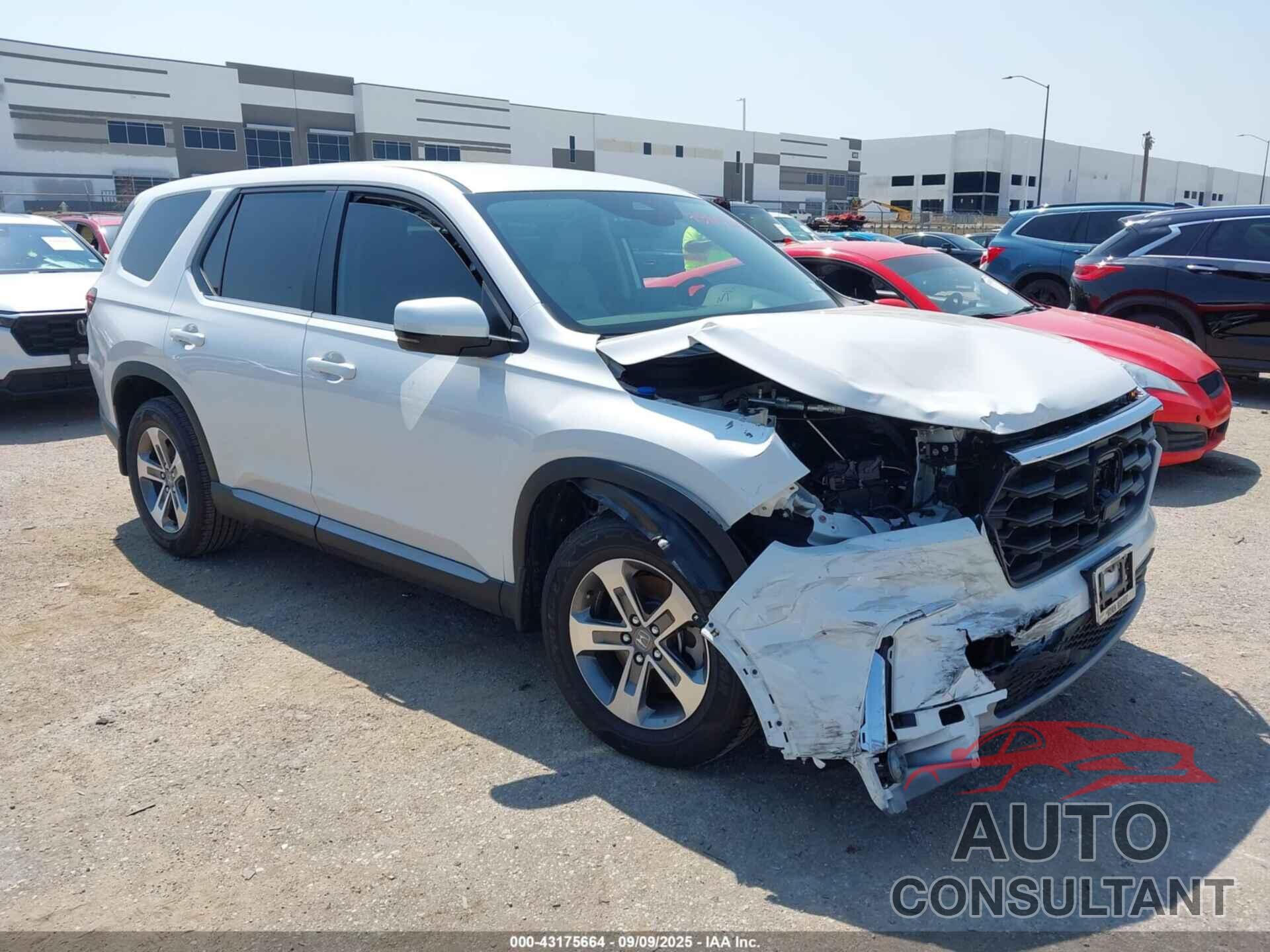 HONDA PILOT 2024 - 5FNYG2H49RB014950